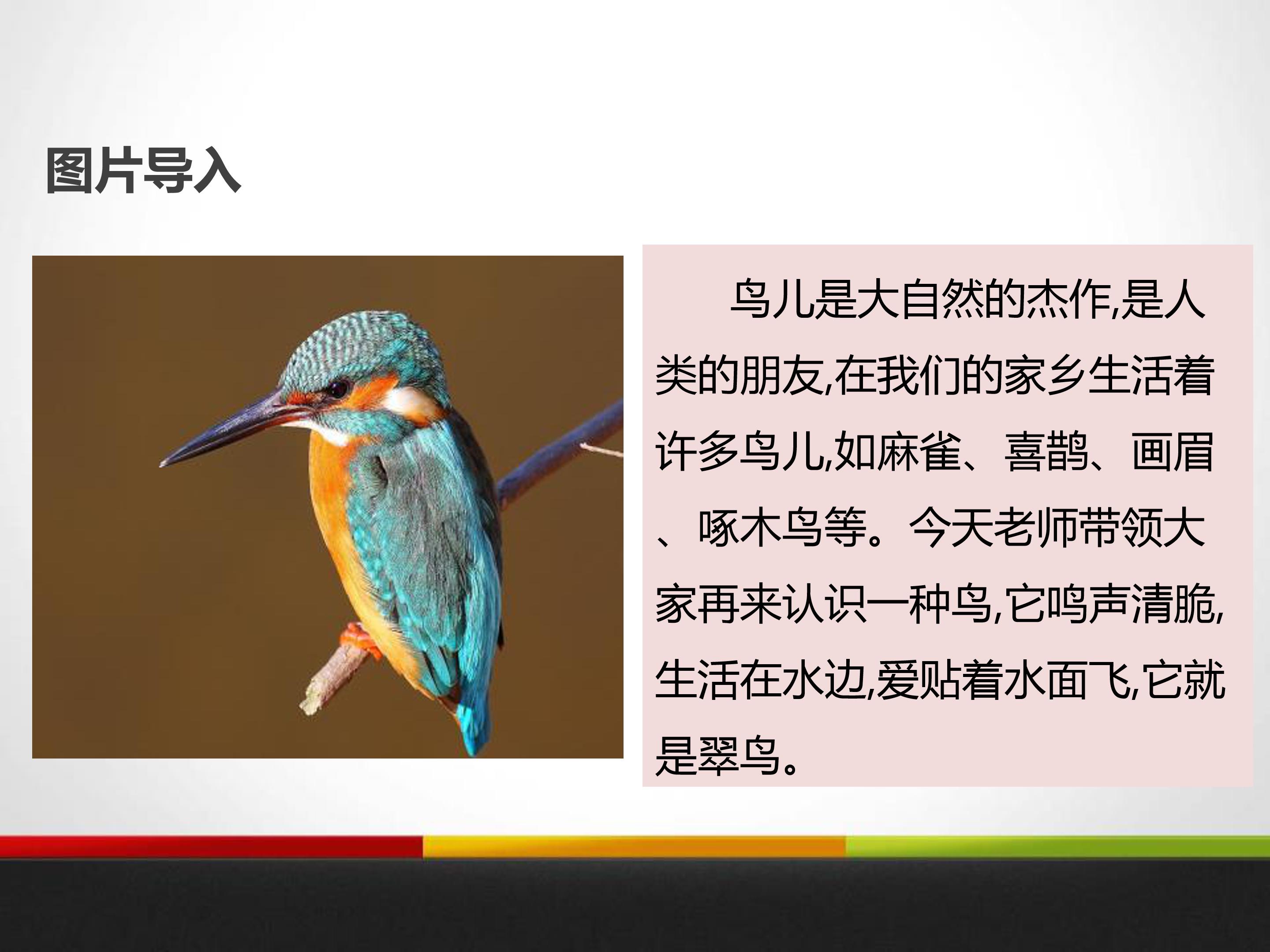 翠鸟生字ppt模板