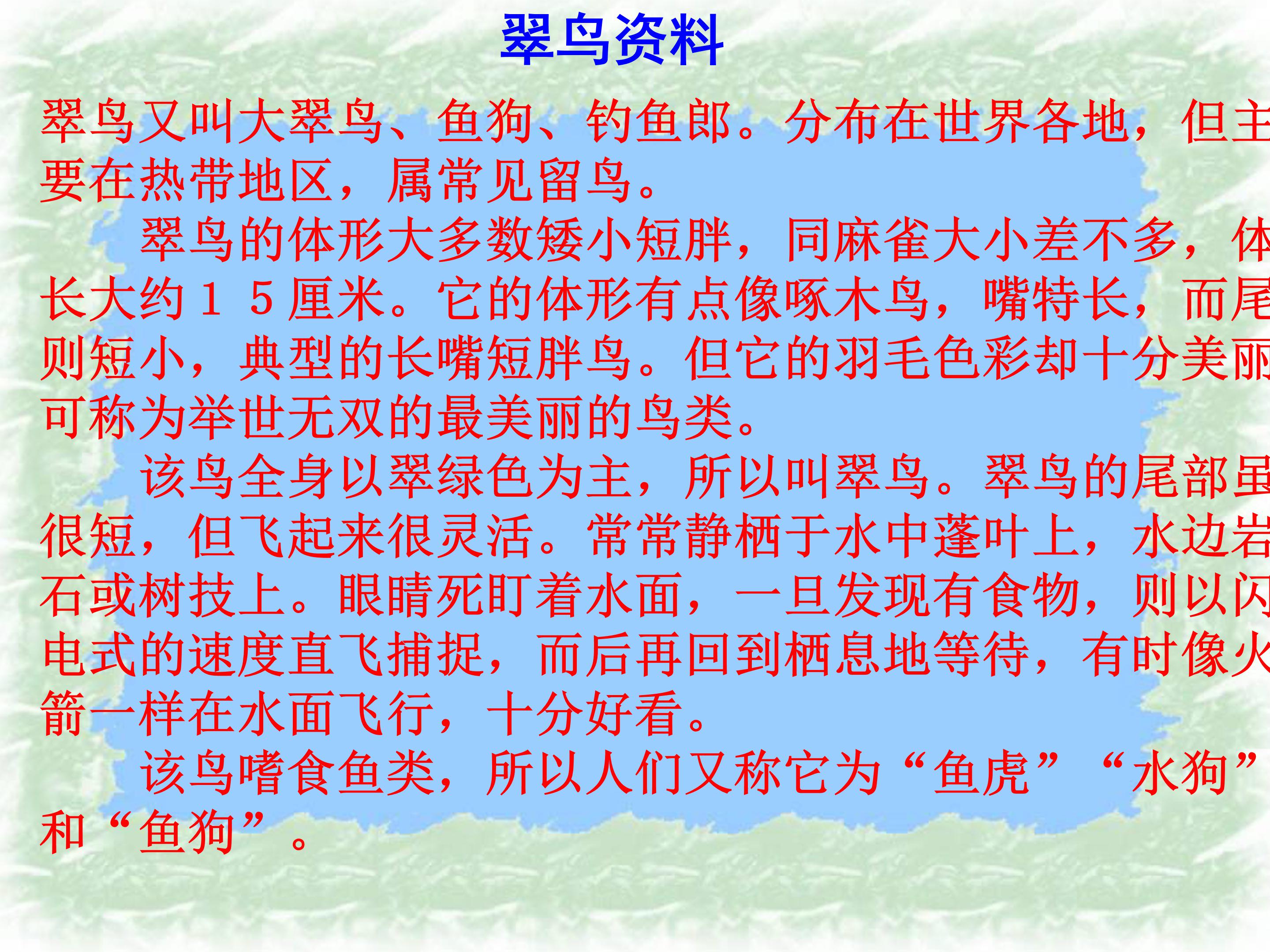 翠鸟生字公开课ppt模板