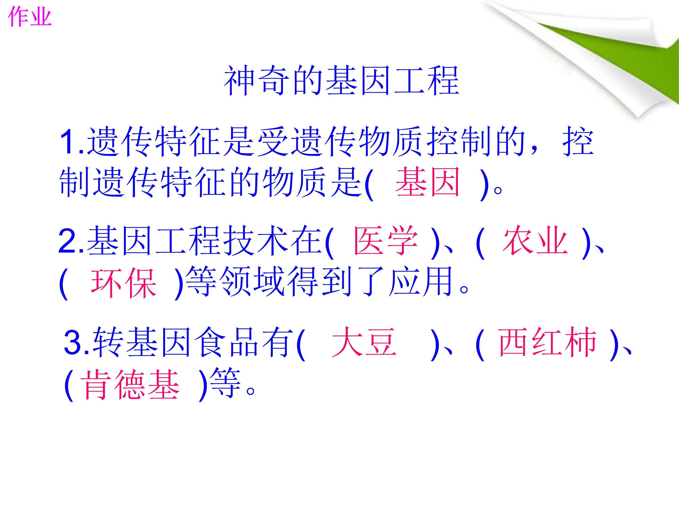 基因工程ppt模板