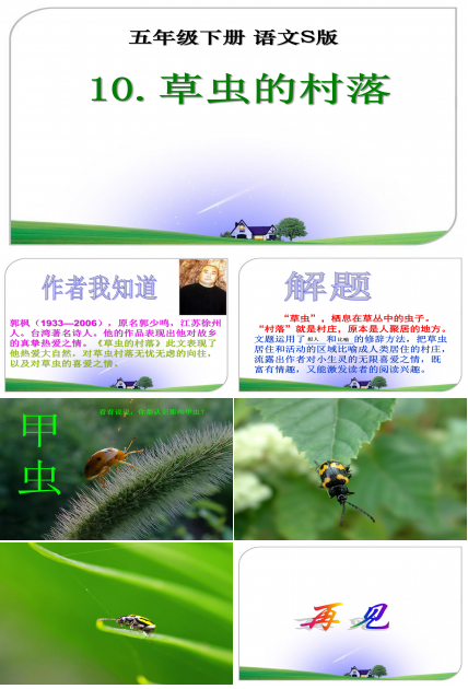草虫的村落ppt模板