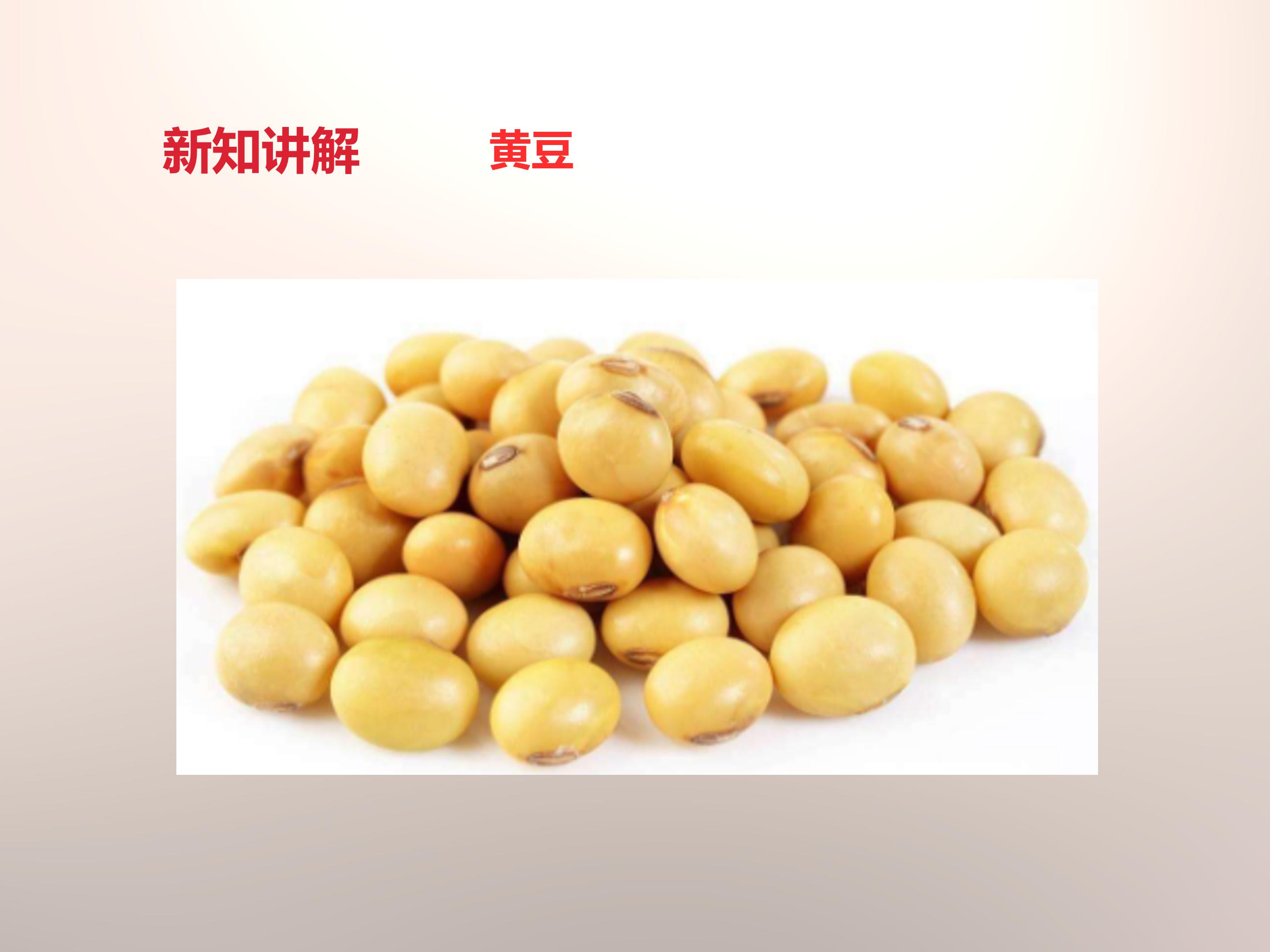 种子的萌发条件ppt模板