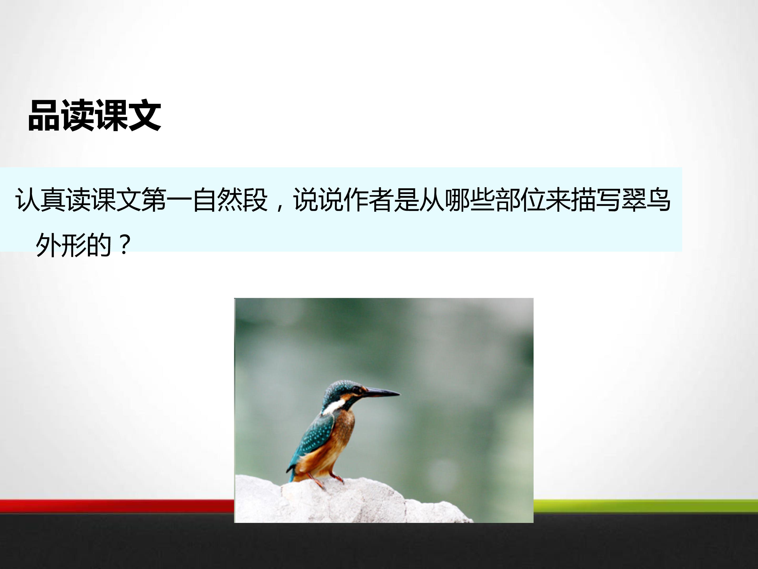 翠鸟生字ppt模板