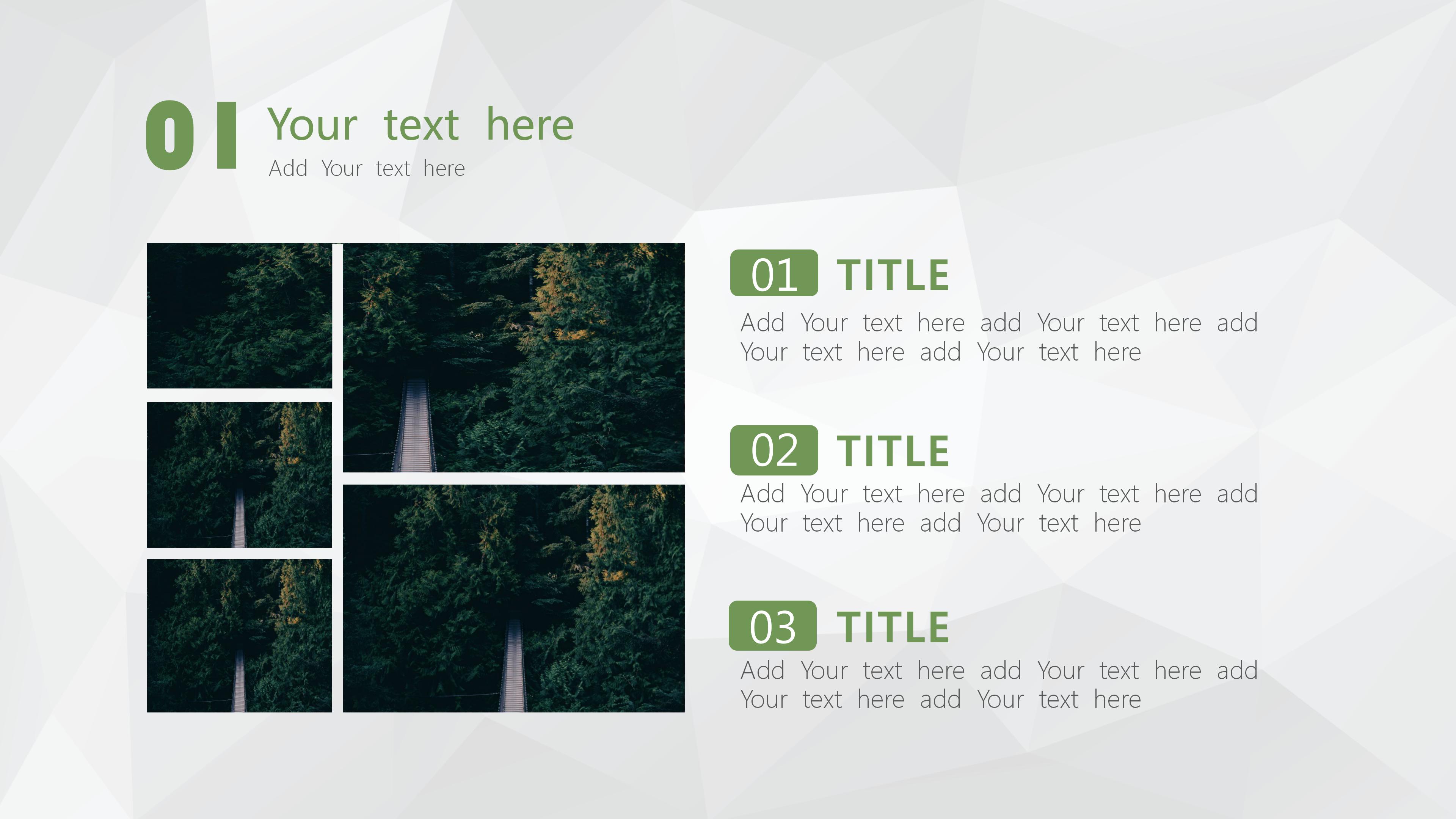 高级职业生涯规划ppt模板