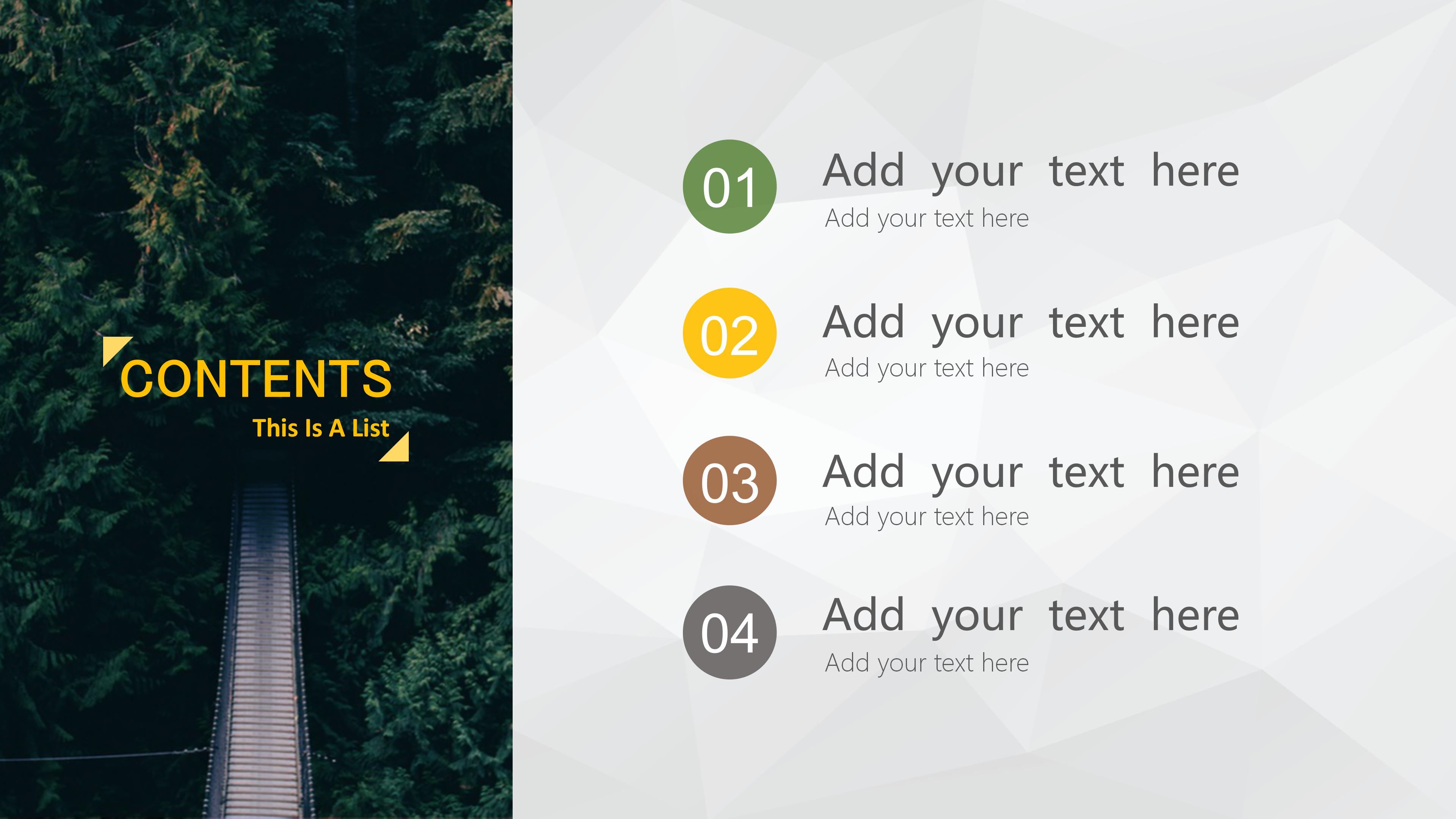 高级职业生涯规划ppt模板