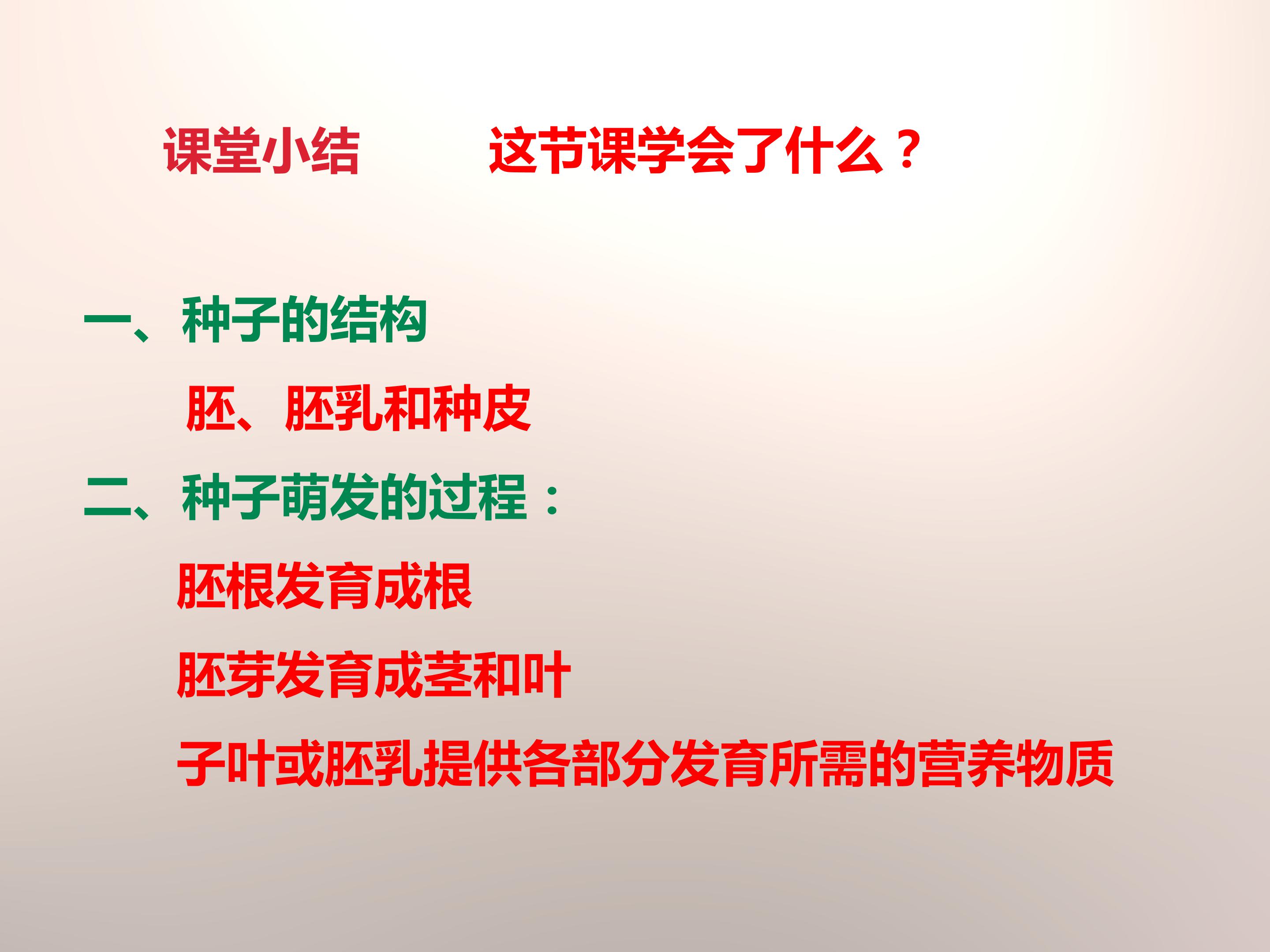 种子的萌发条件ppt模板