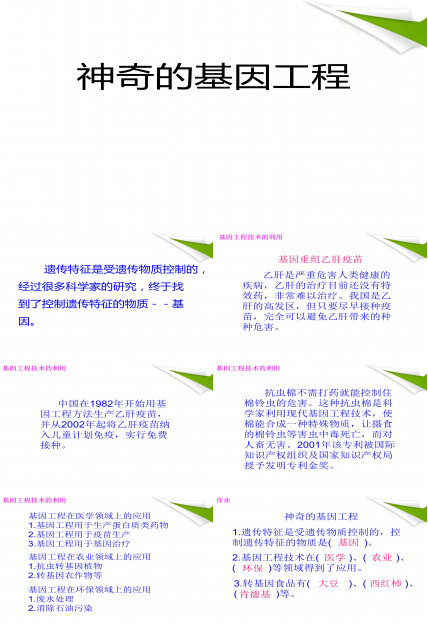 基因工程ppt模板