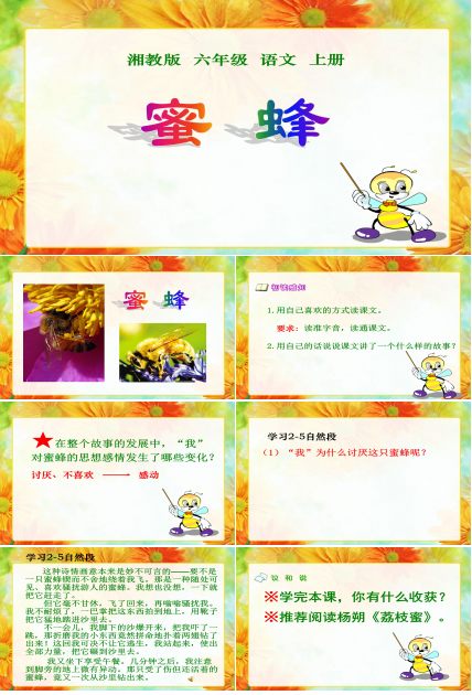 蜜蜂ppt模板