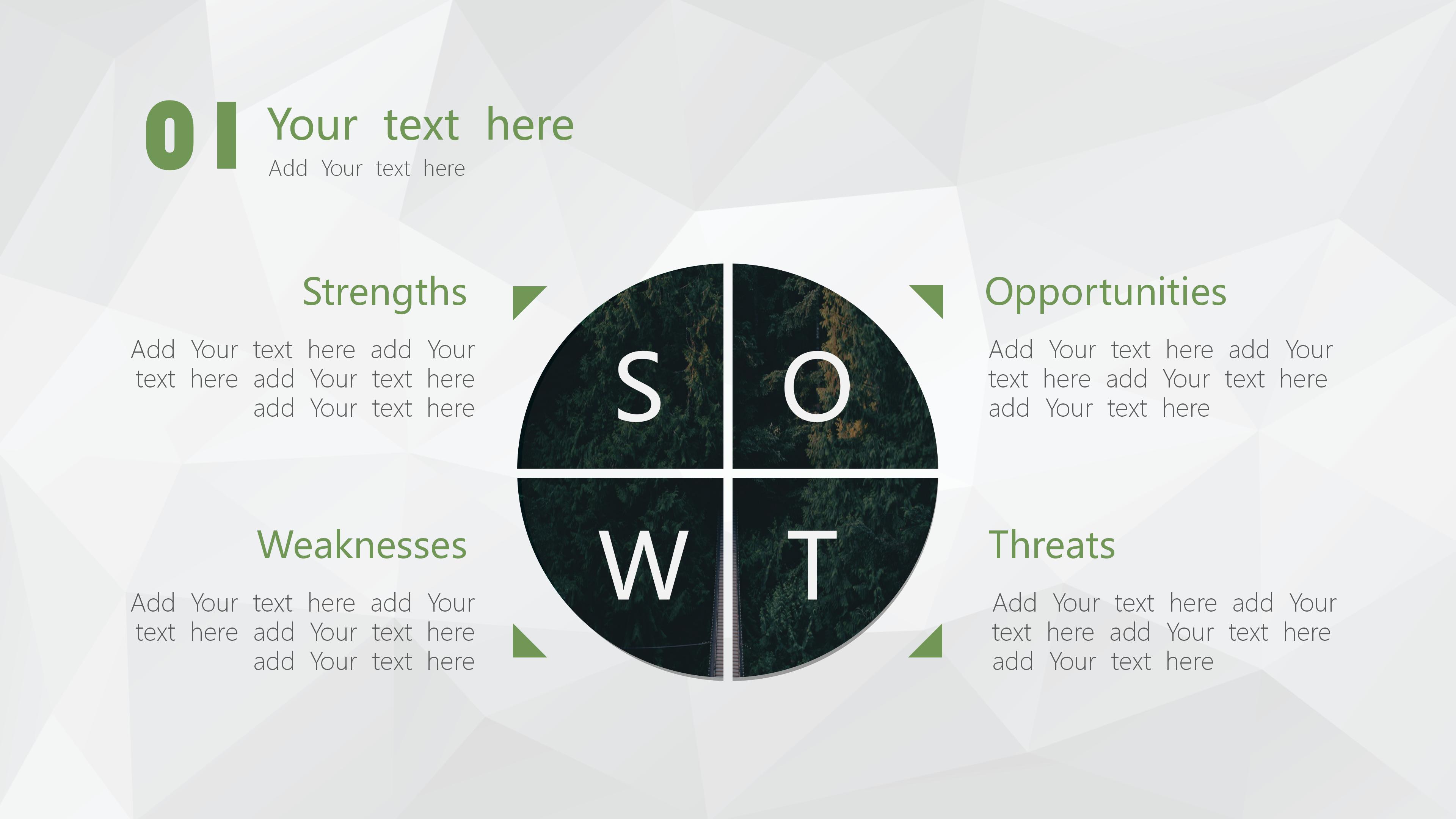 高级职业生涯规划ppt模板