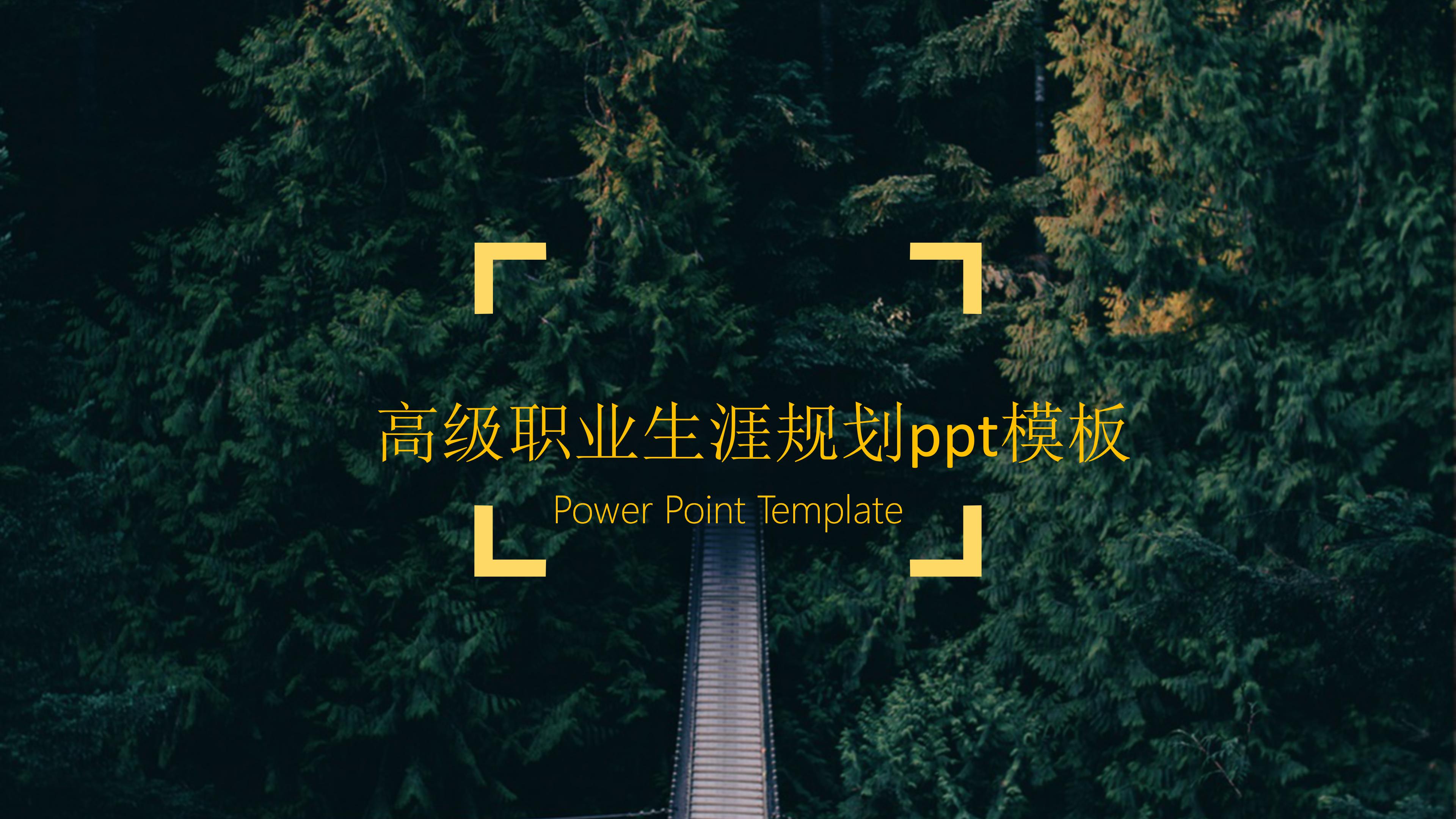 高级职业生涯规划ppt模板