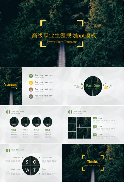 高级职业生涯规划ppt模板