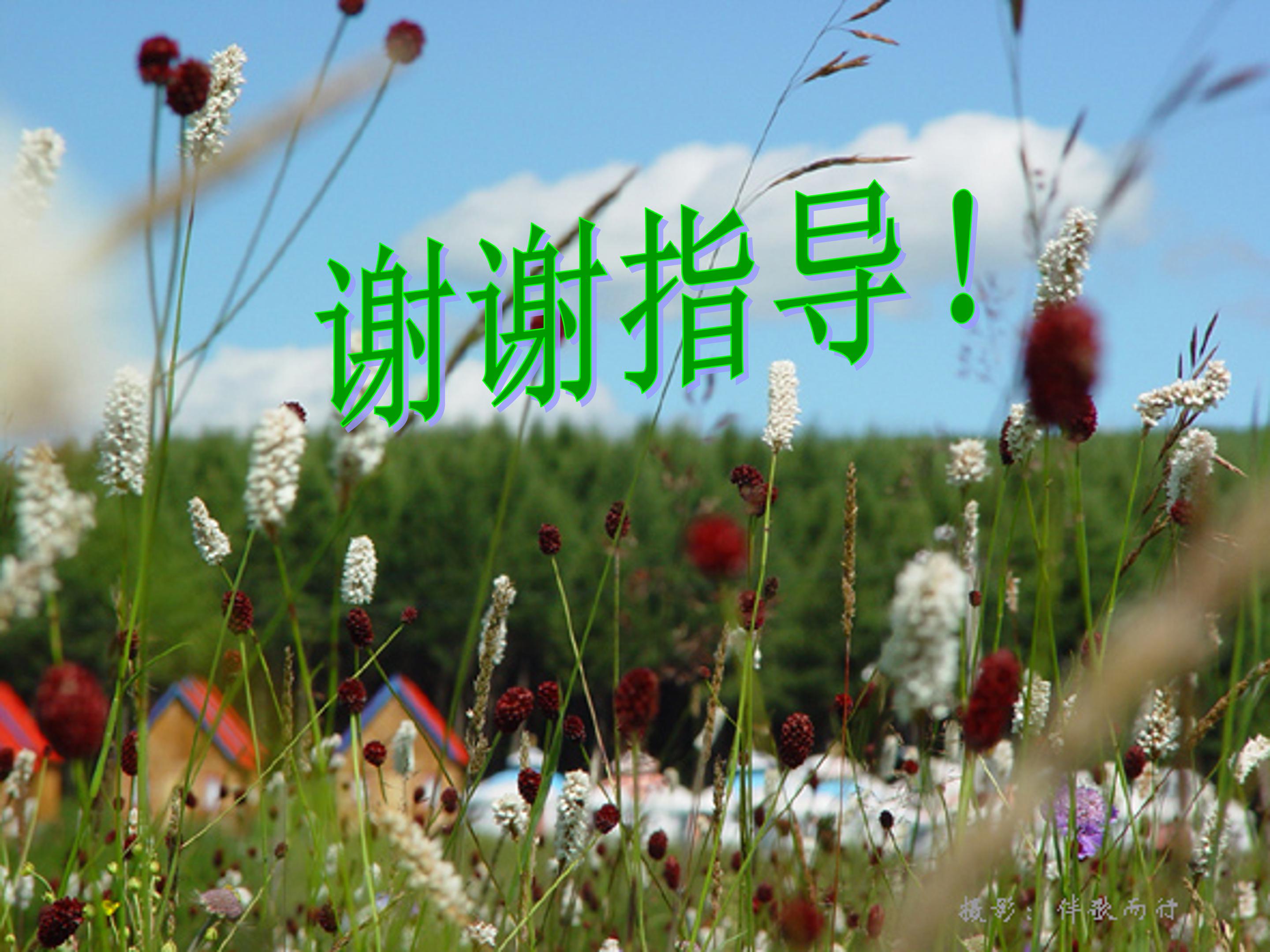 二年级语文下册找春天ppt模板