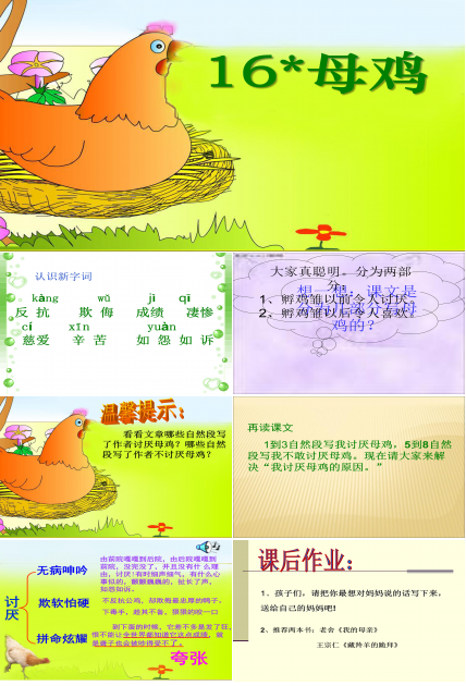 《母鸡》ppt模板