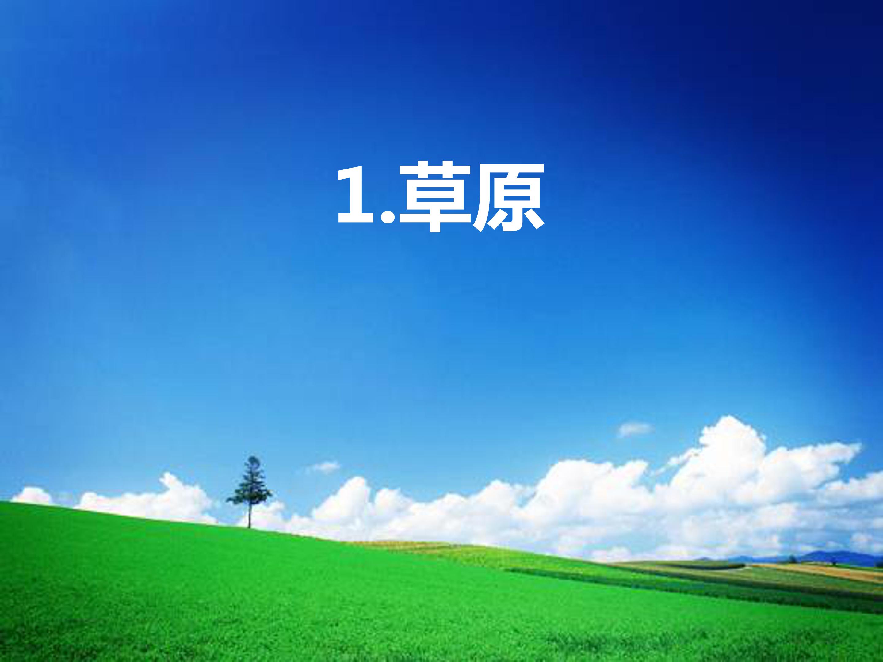 草原ppt课件模板