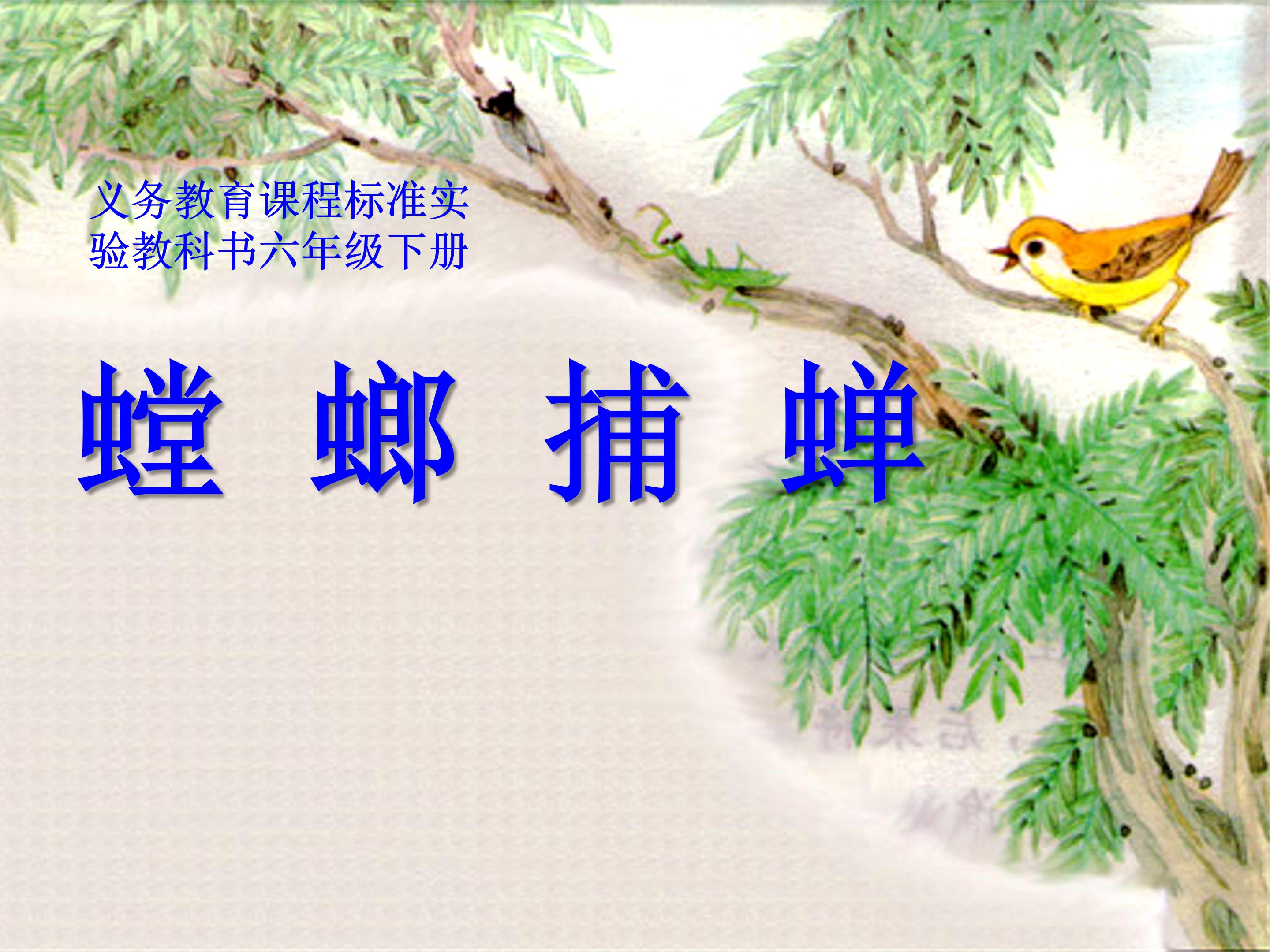 苏教版螳螂捕蝉ppt模板
