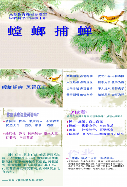 苏教版螳螂捕蝉ppt模板