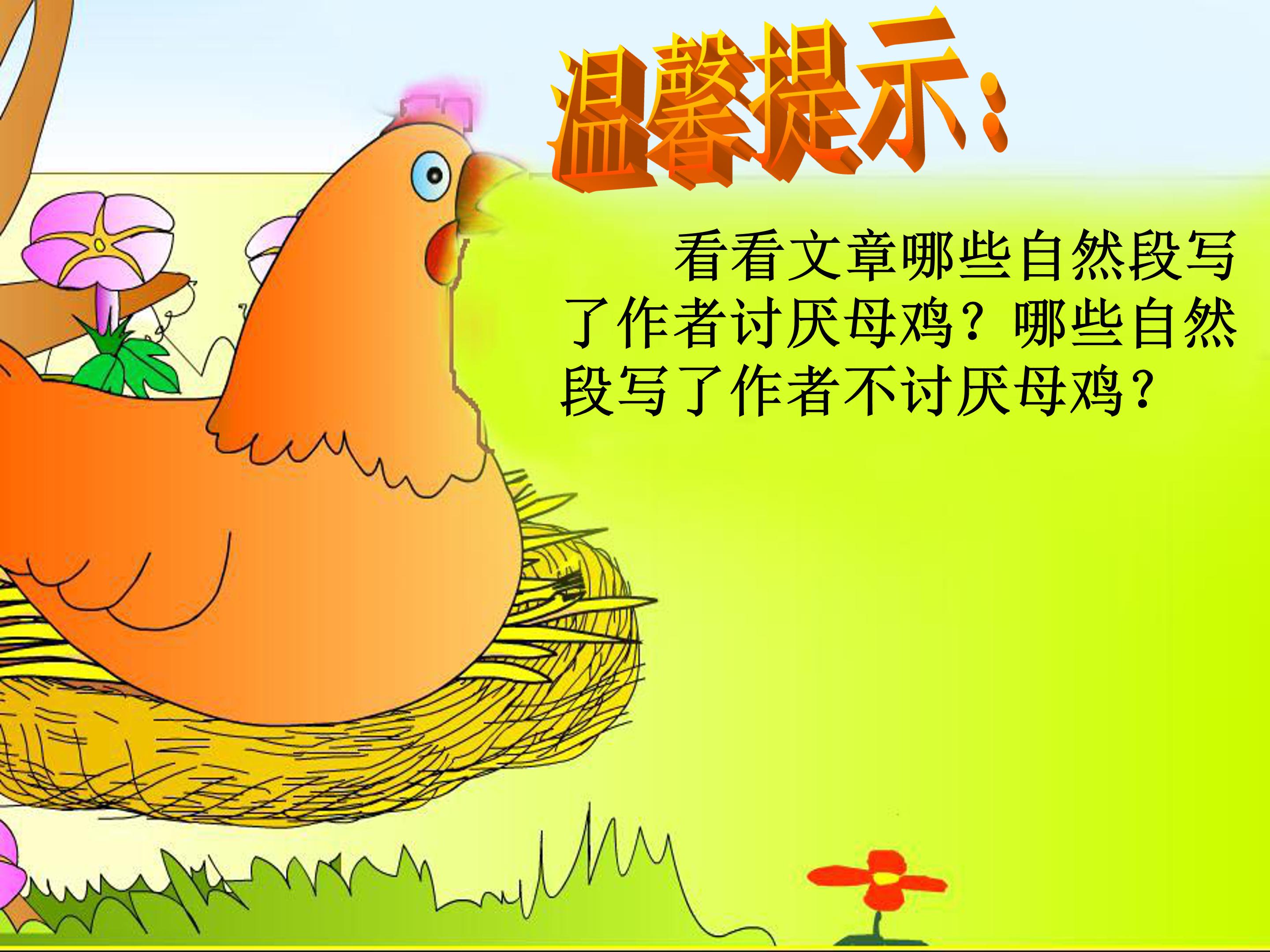 《母鸡》ppt模板