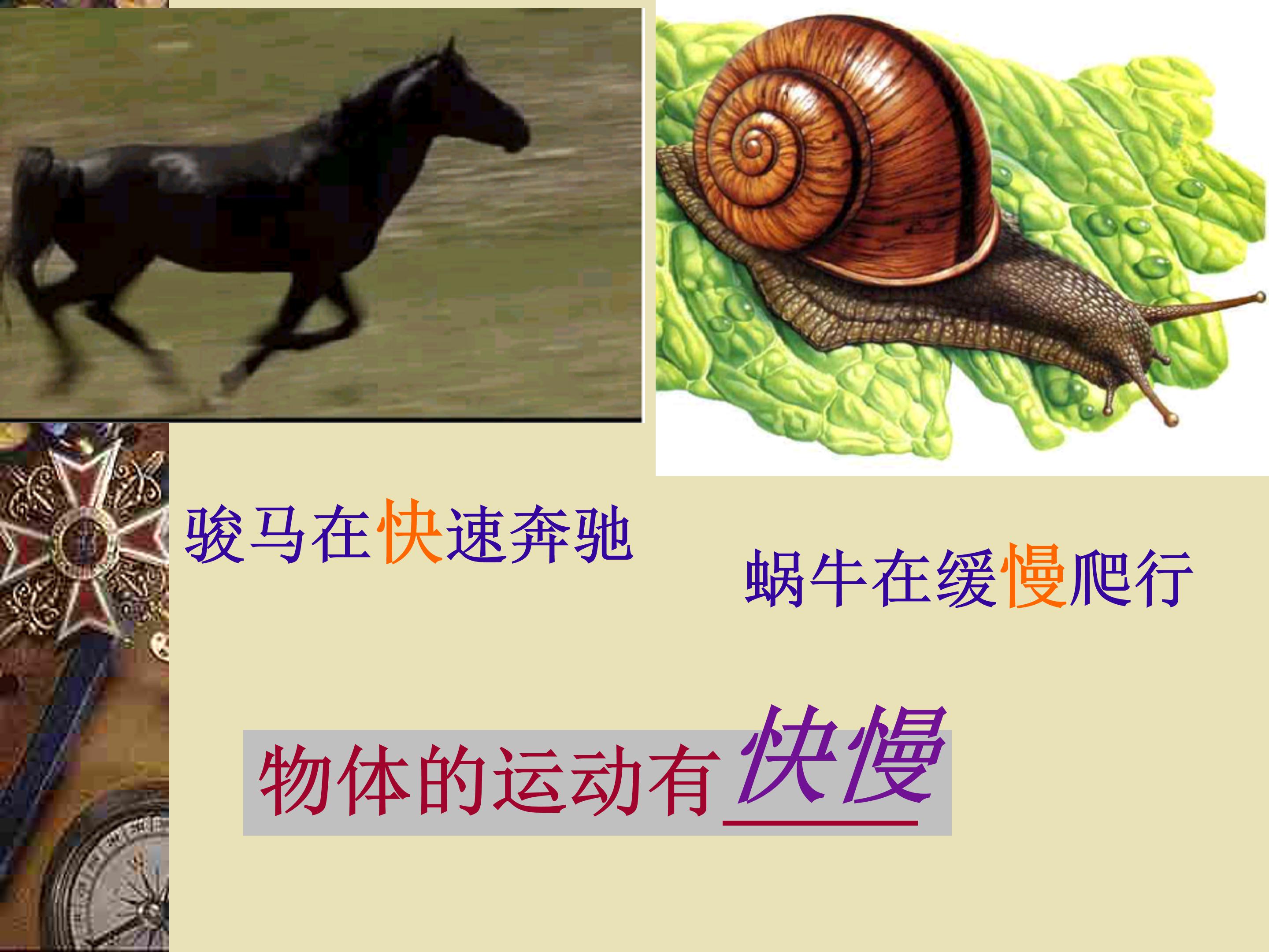 物理运动的快慢ppt模板
