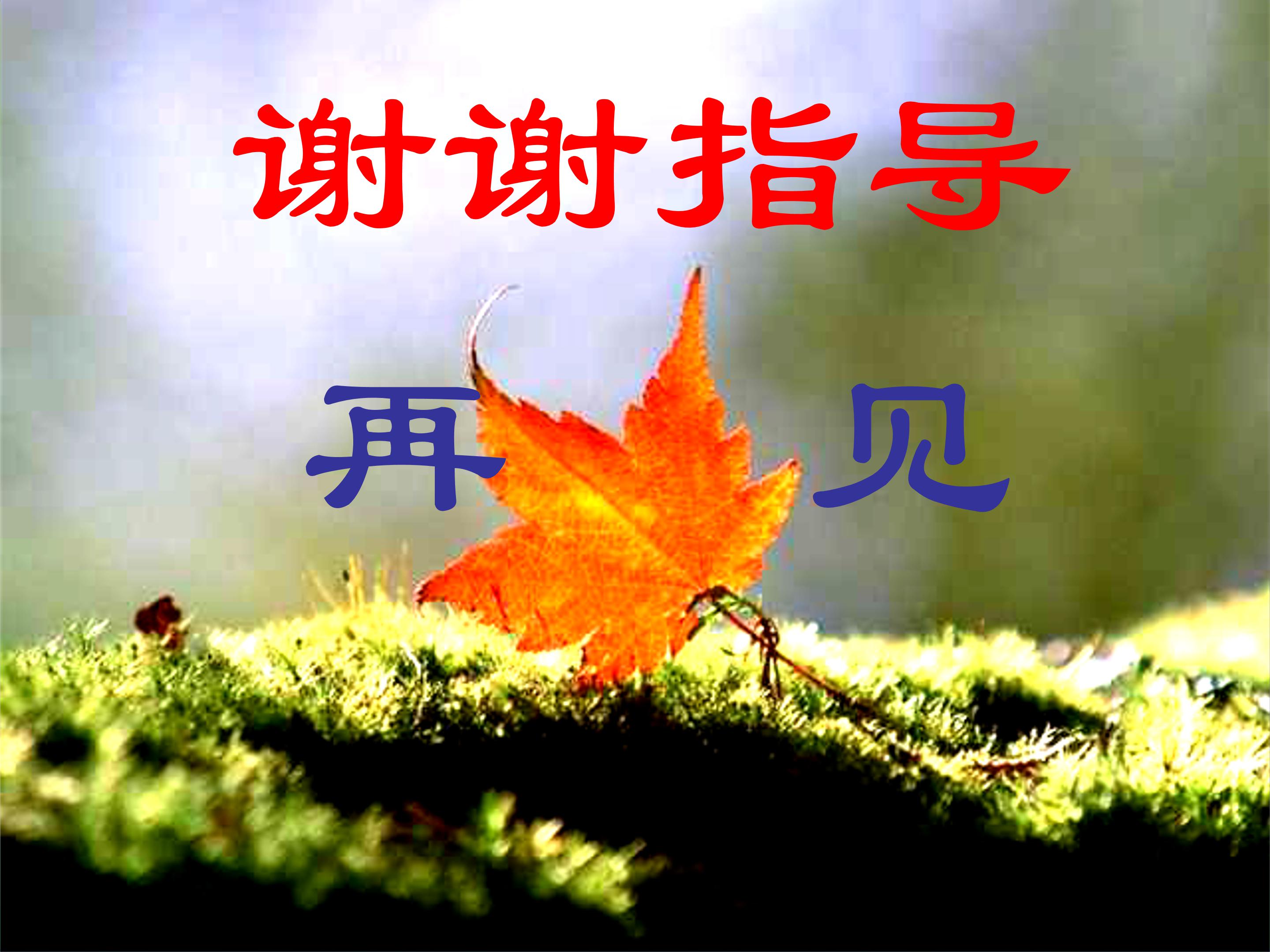 青山不老ppt完美版