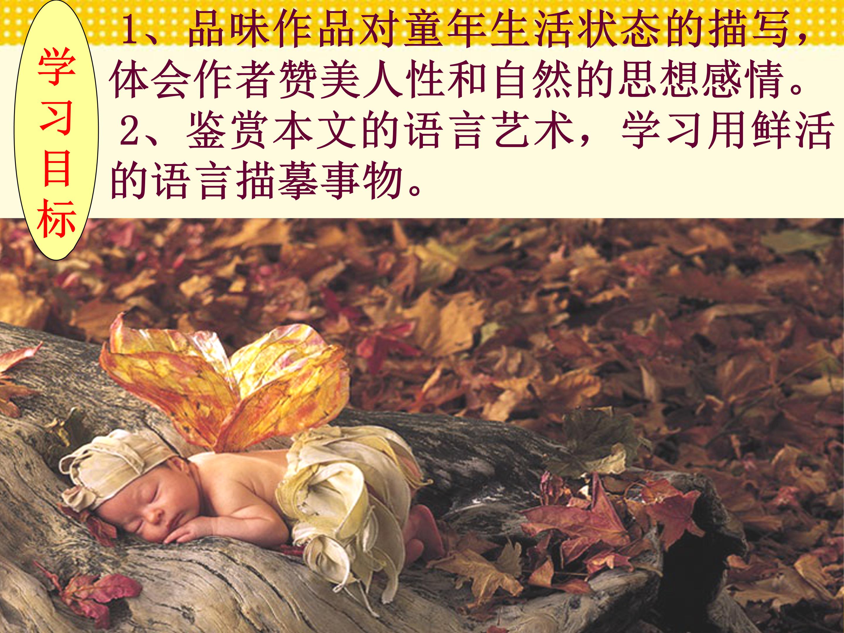 呼兰河传ppt模板