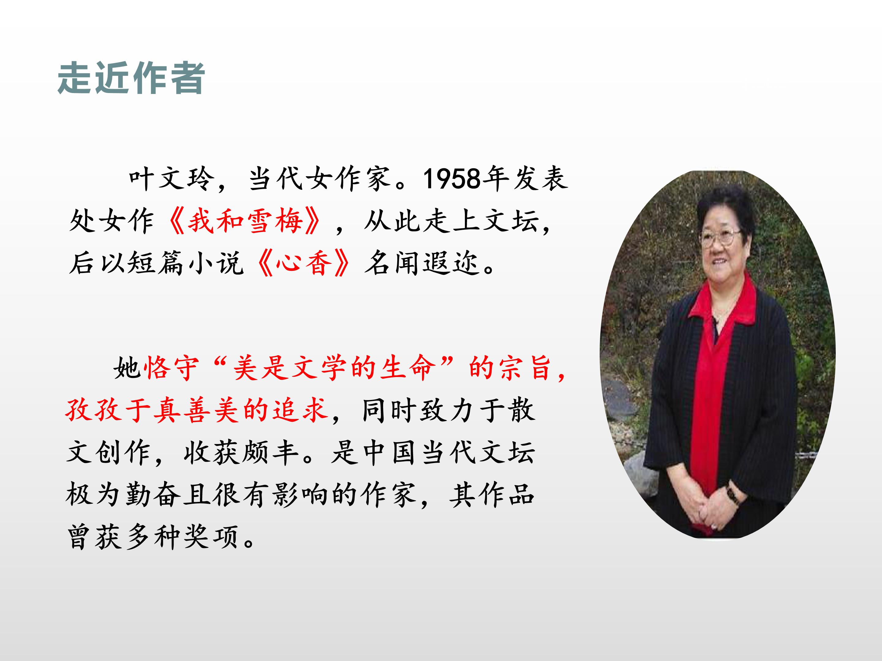 我的长生果ppt模板