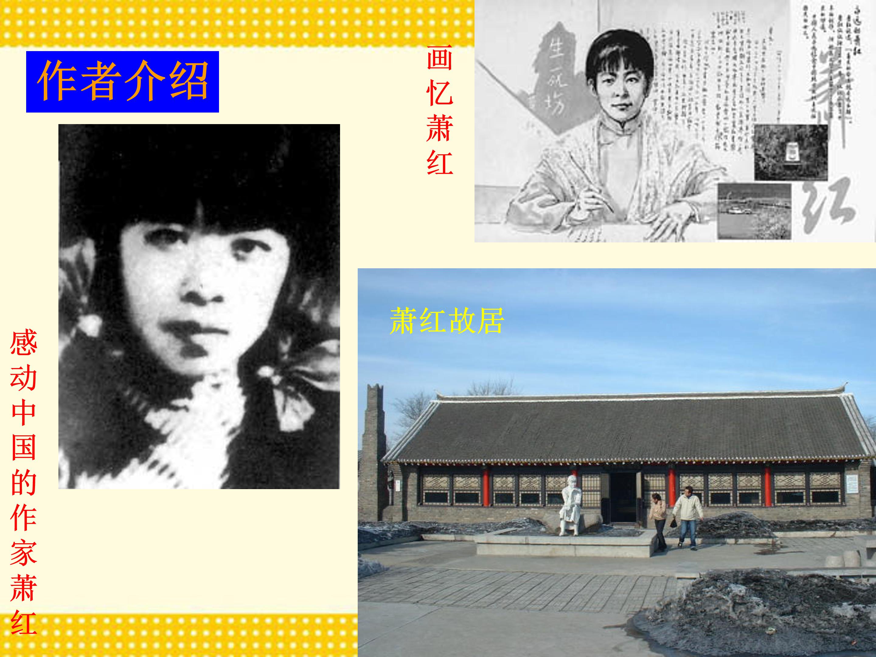 呼兰河传ppt模板