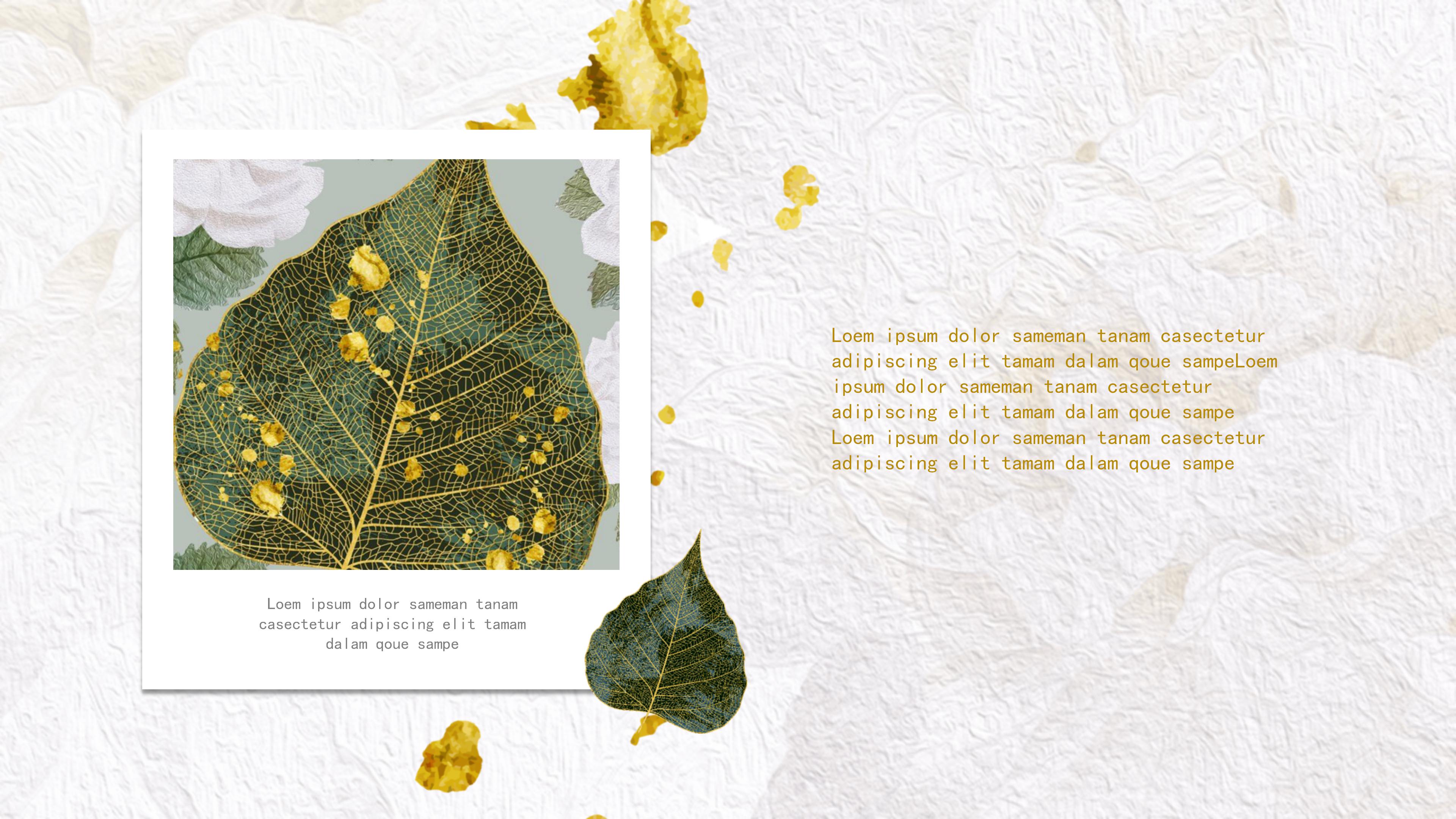 快闪炫酷自我介绍ppt模板