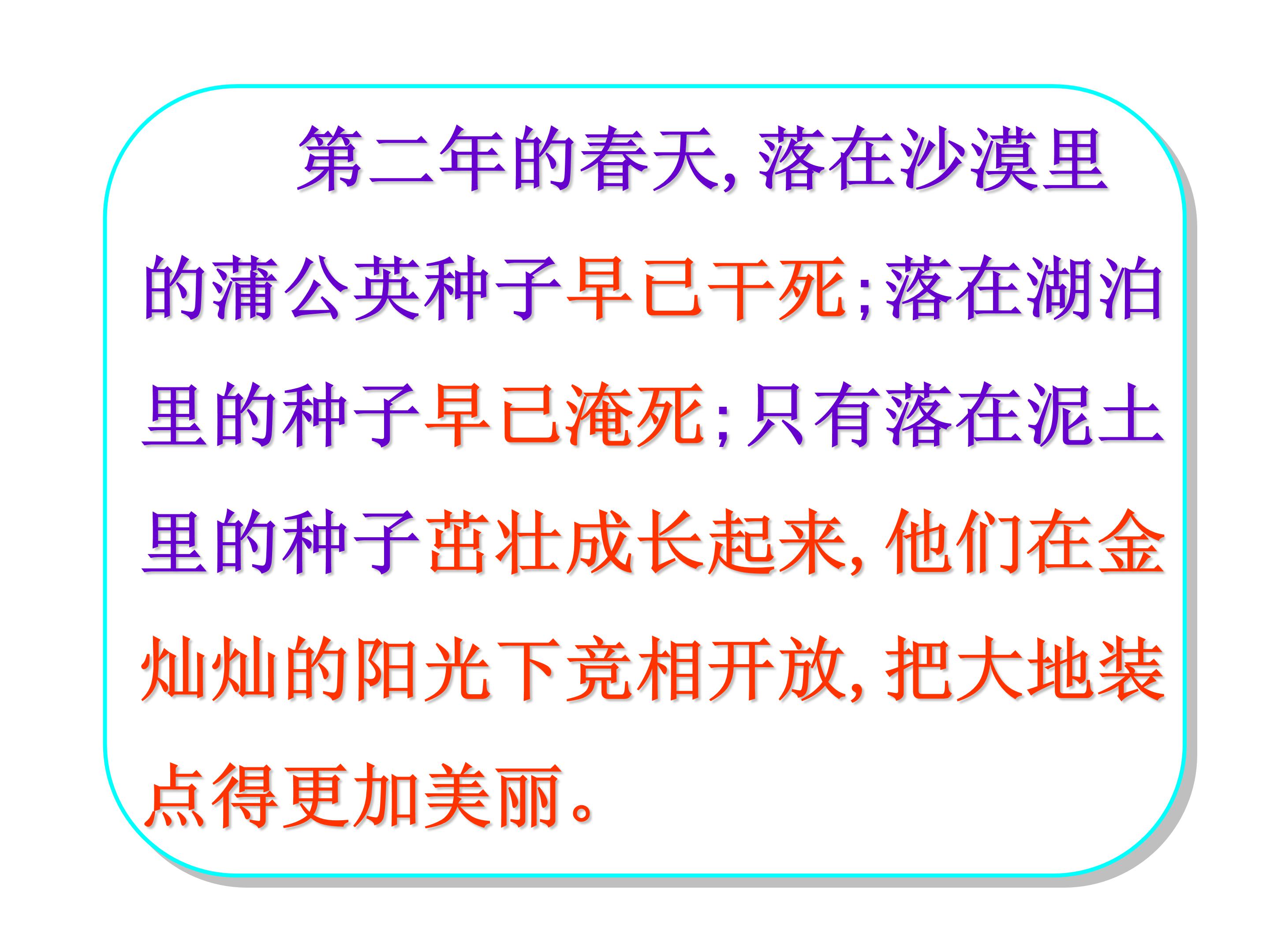 蒲公英ppt课件模板