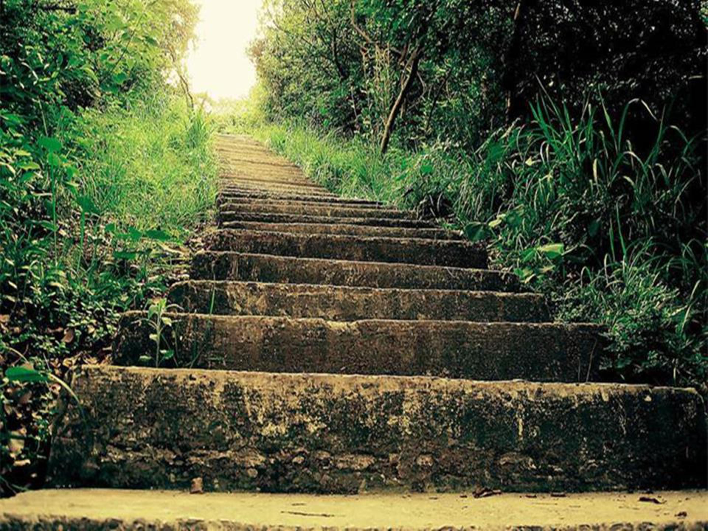 李森祥台阶ppt模板