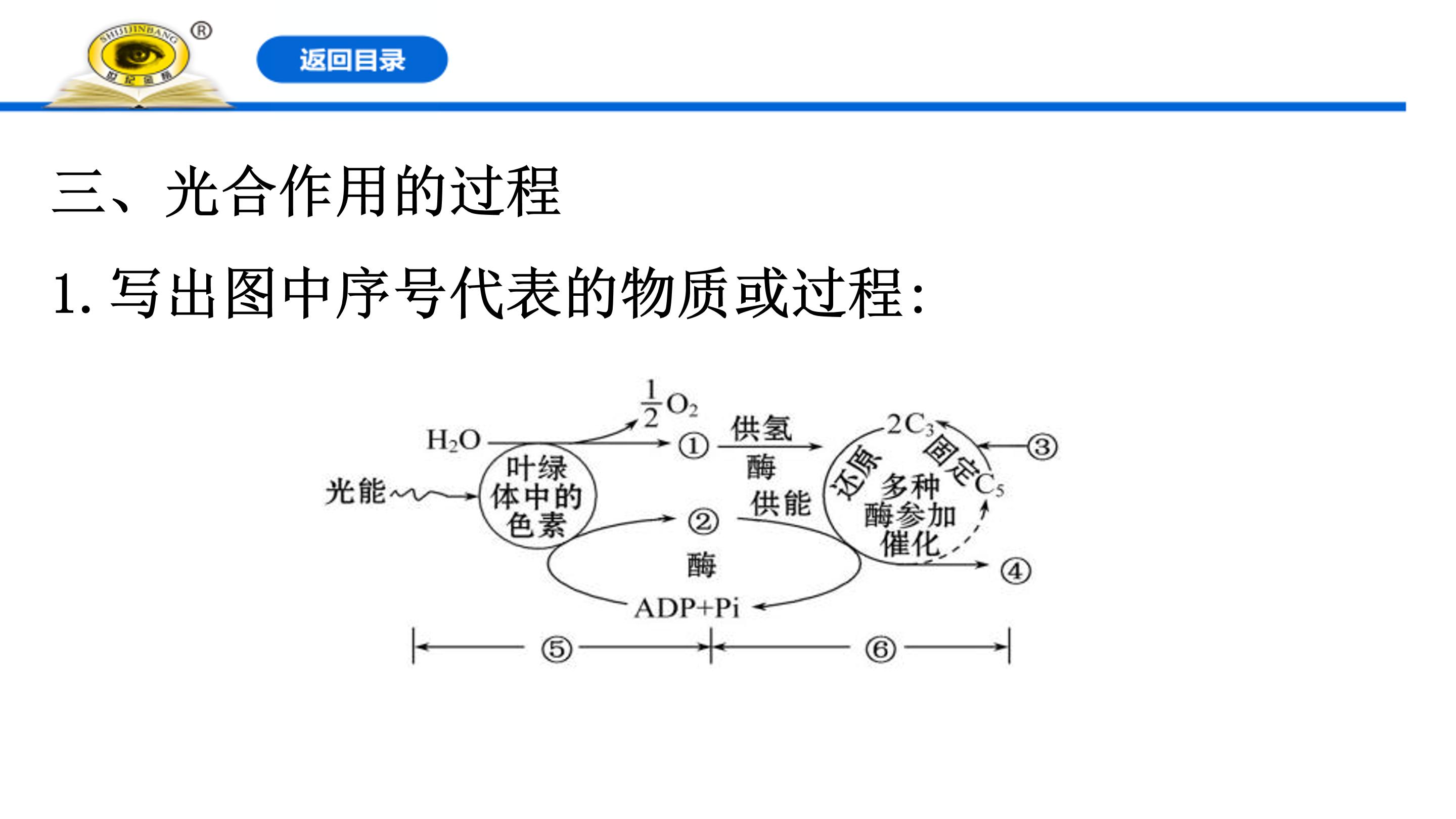 光合作用的探究历程ppt模板