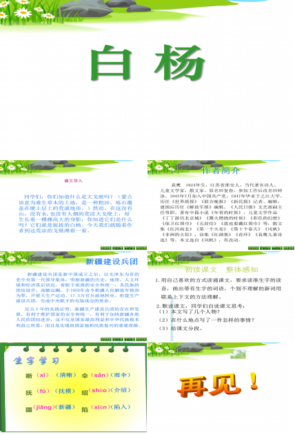 白杨ppt课件完美版