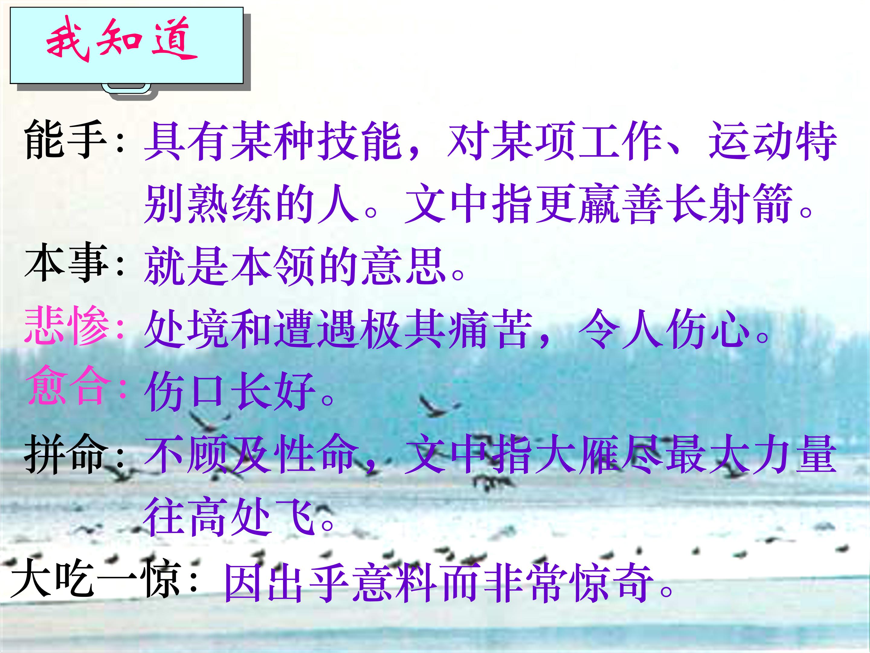 惊弓之鸟的ppt模板