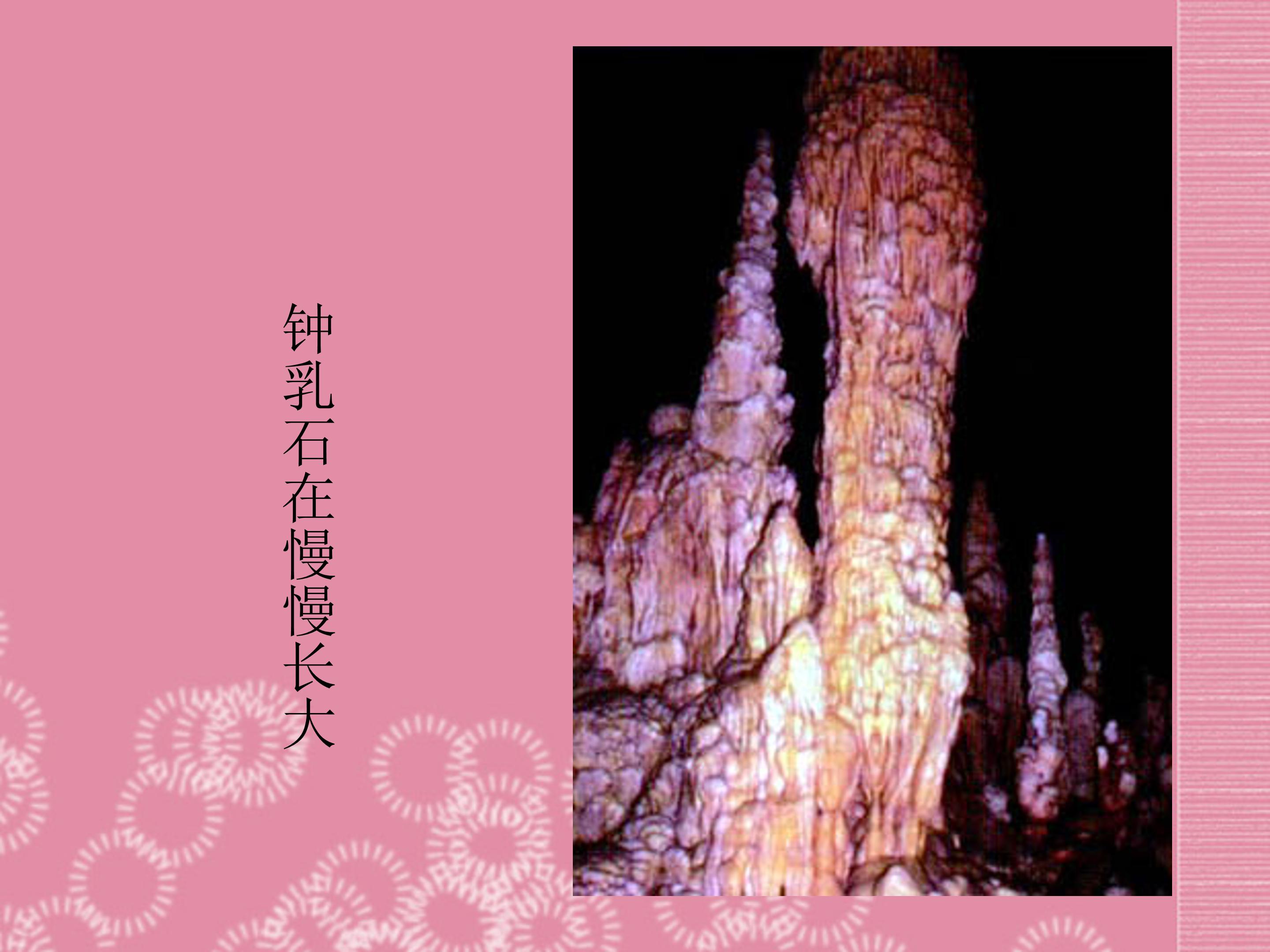 生物的特征ppt课件模板