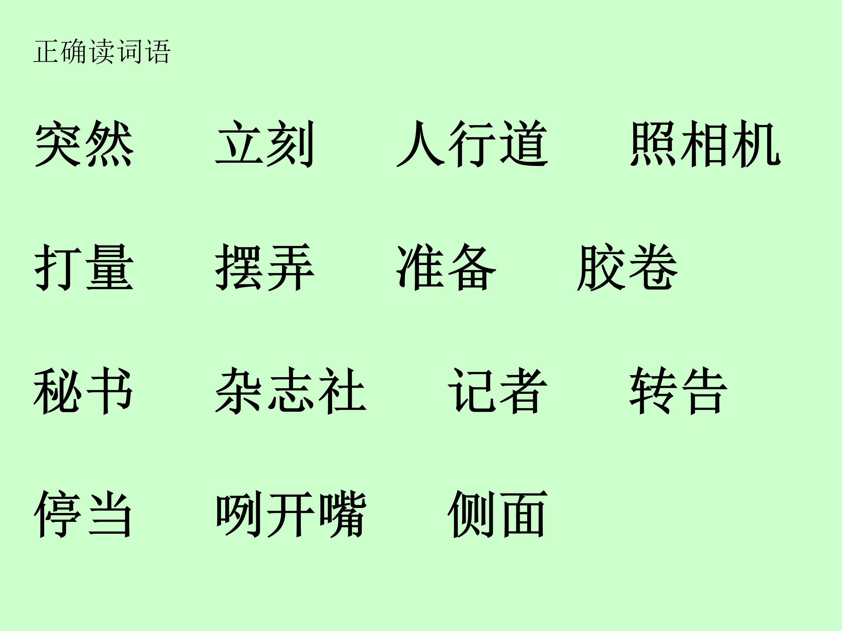 6小摄影师ppt模板