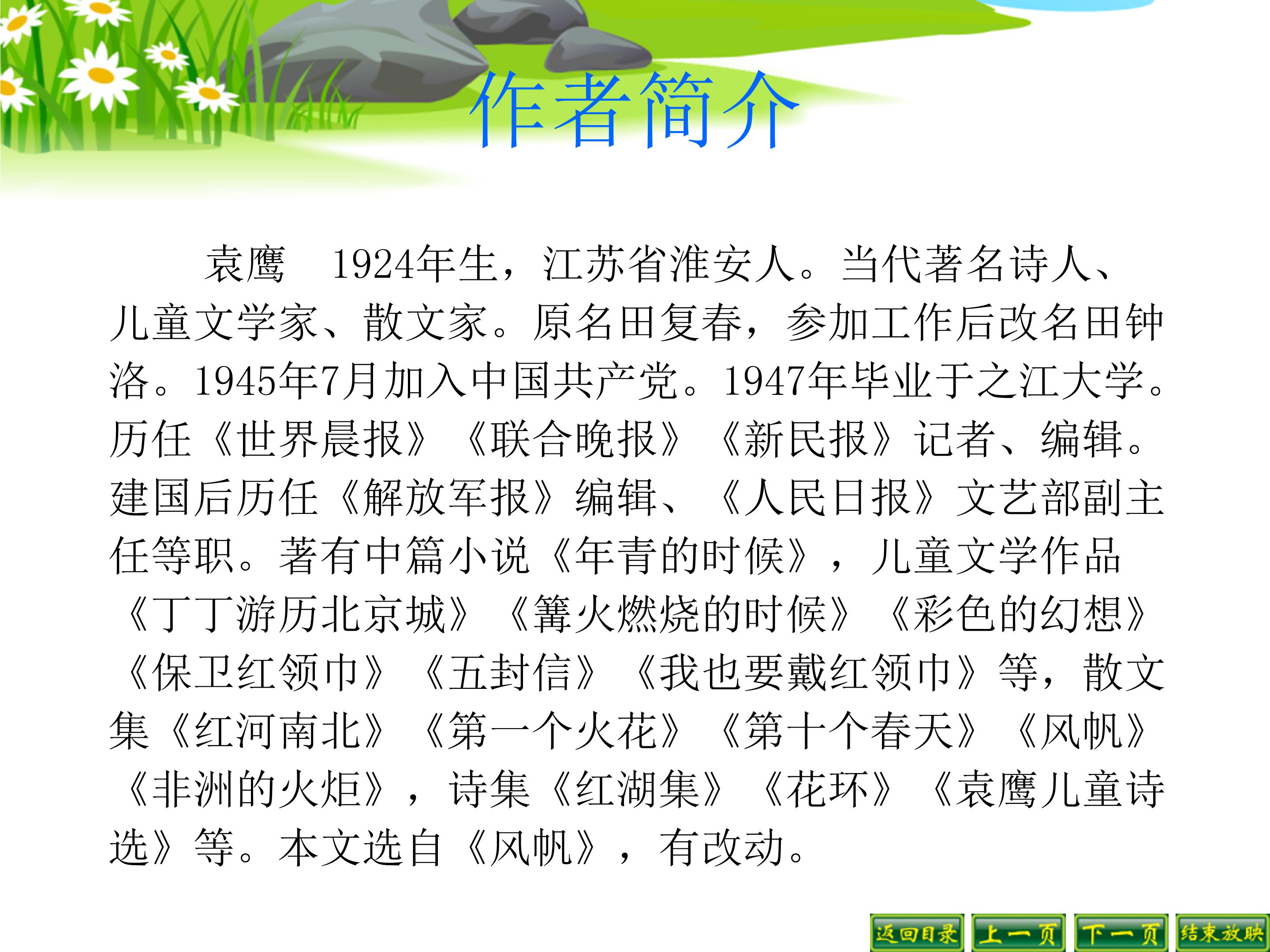 白杨ppt课件完美版