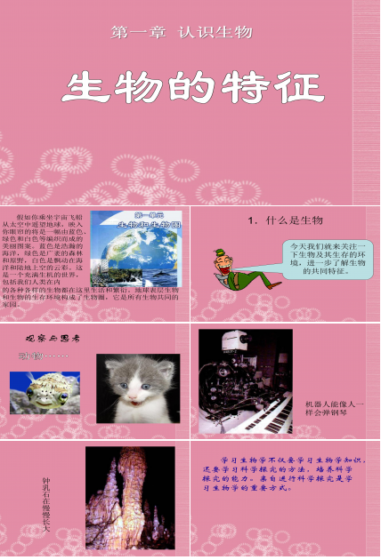 生物的特征ppt课件模板