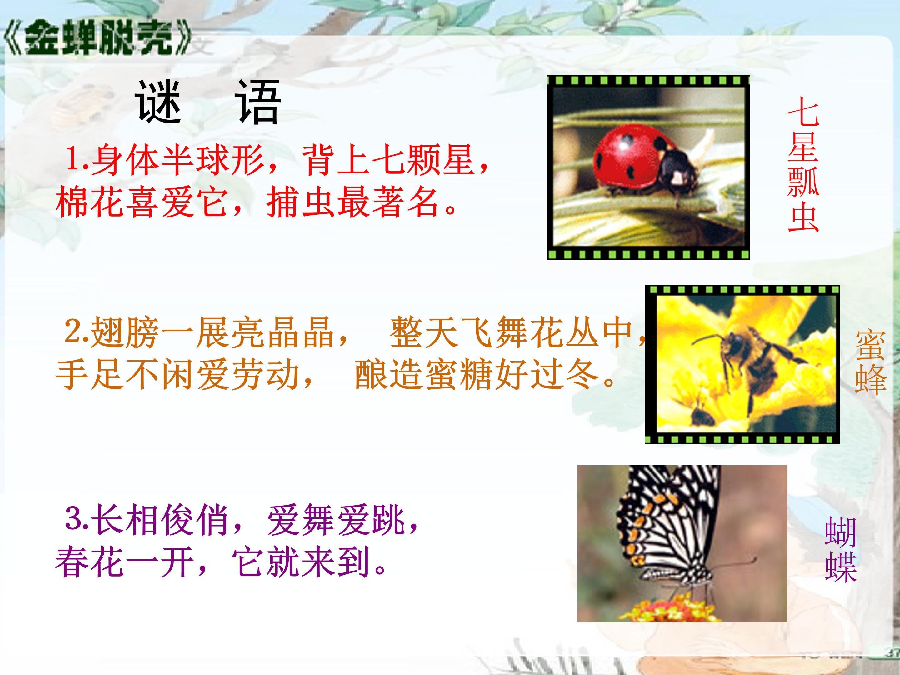 金蝉脱壳ppt模板