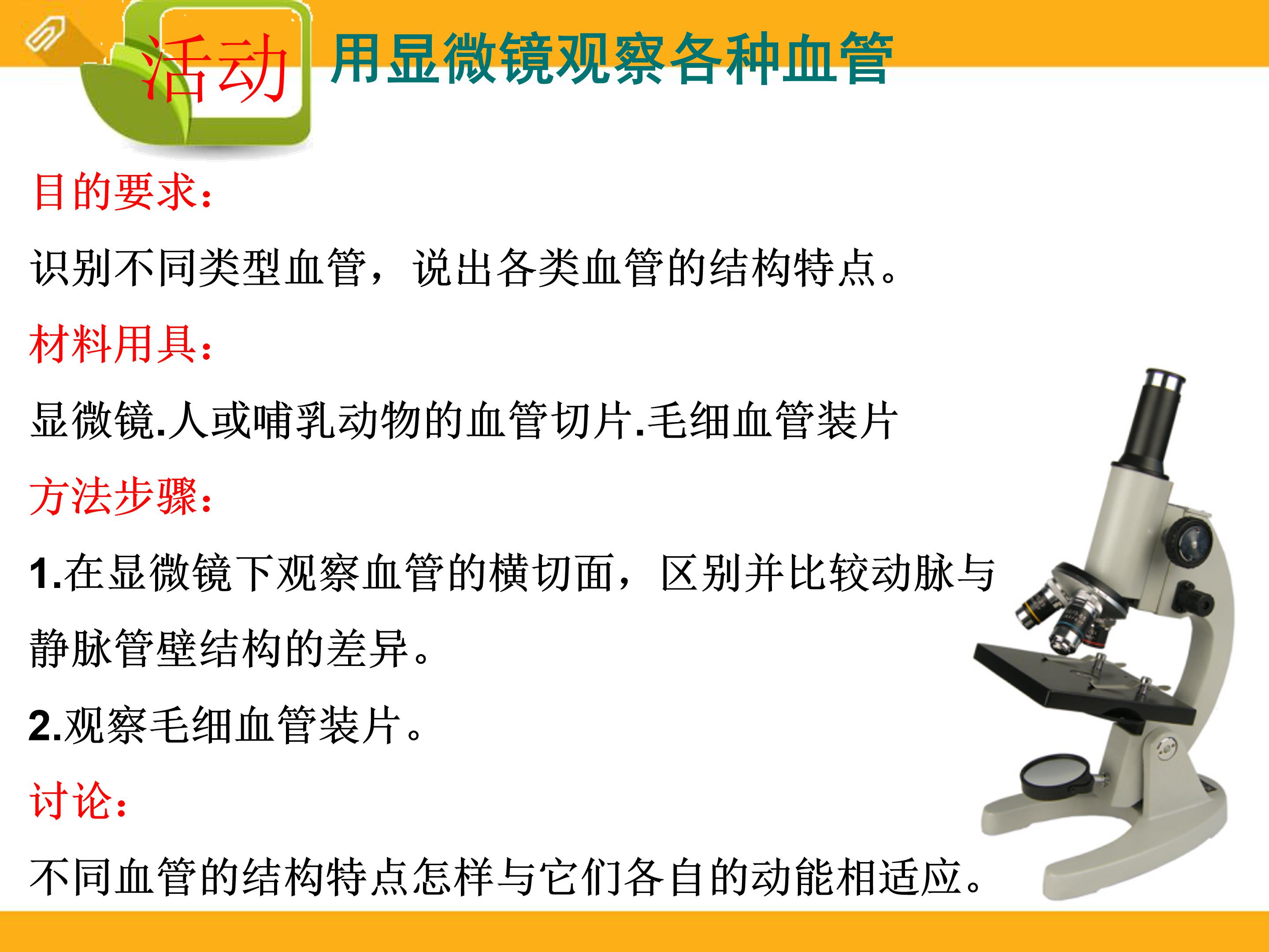 血液循环ppt课件模板