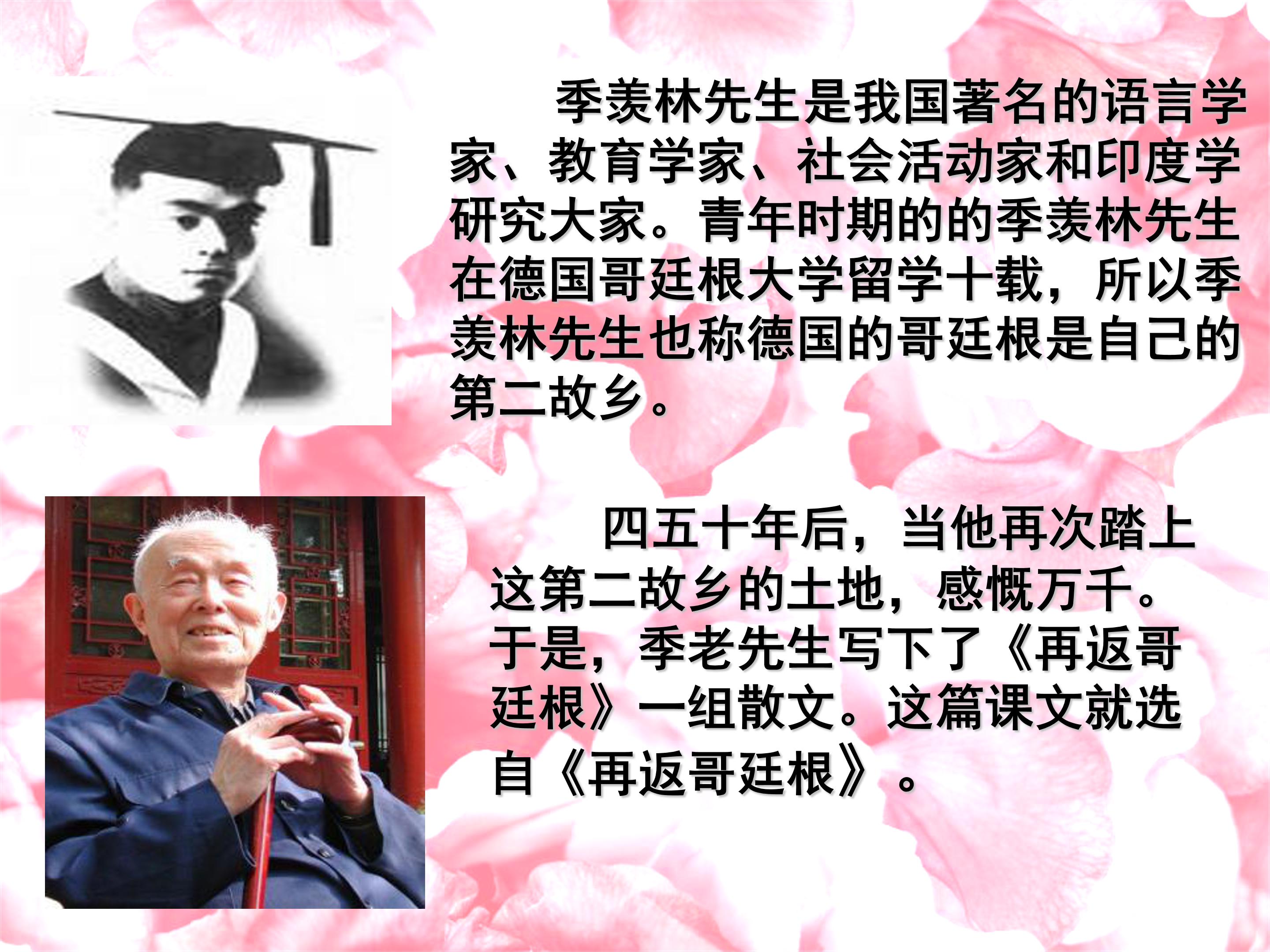 25自己的花是让别人看的ppt模板