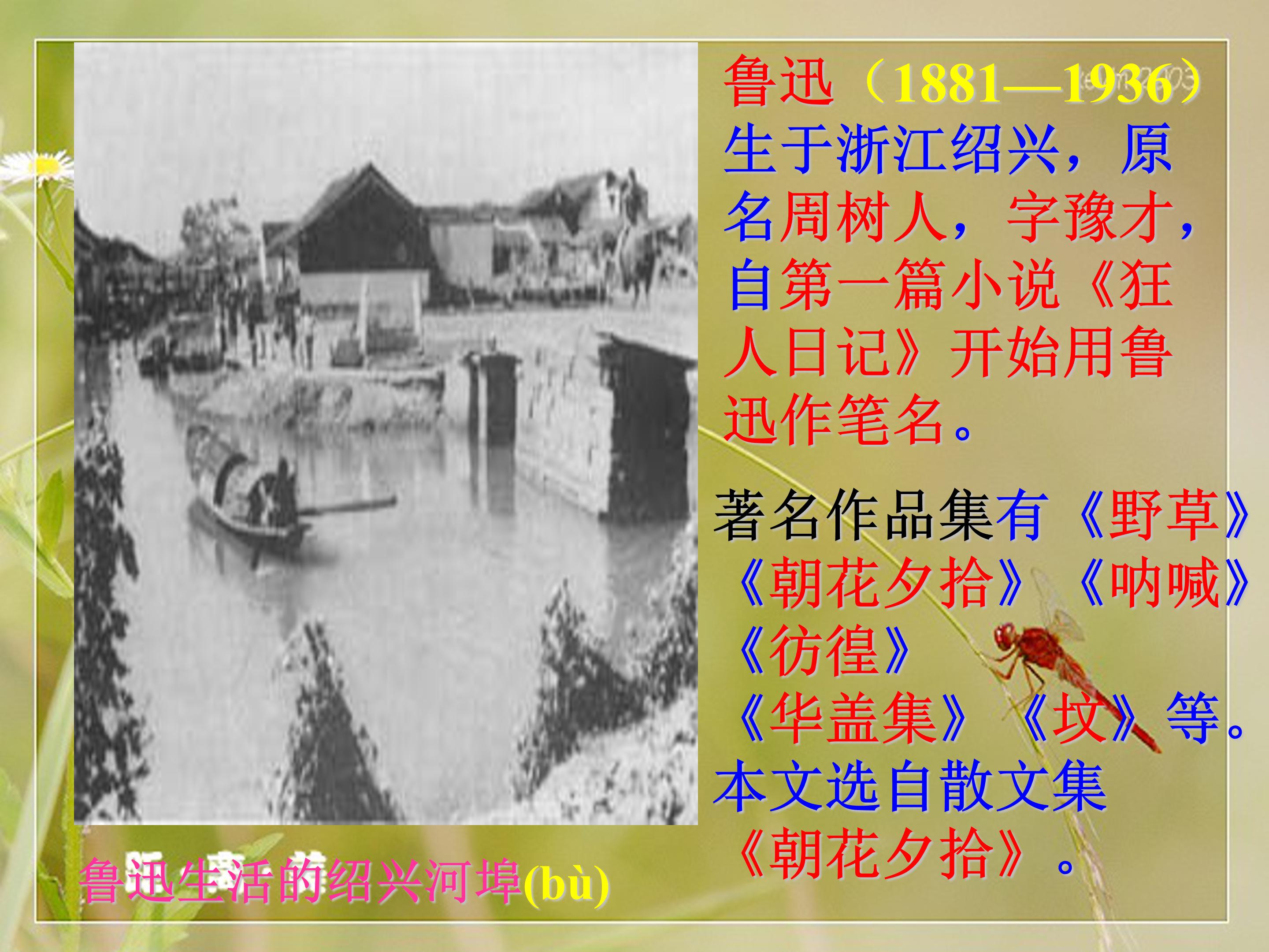 藤野先生ppt模板