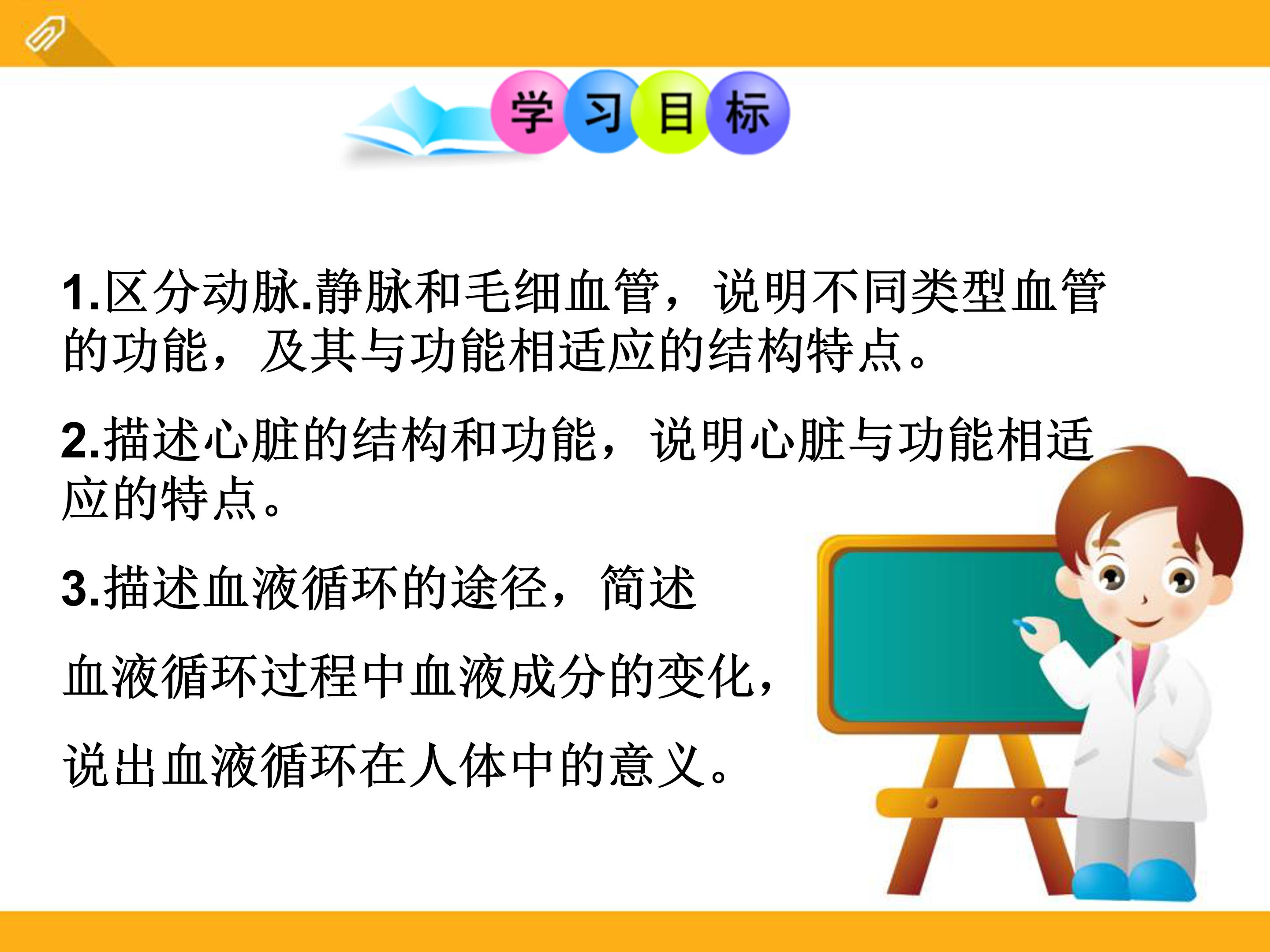 血液循环ppt课件模板