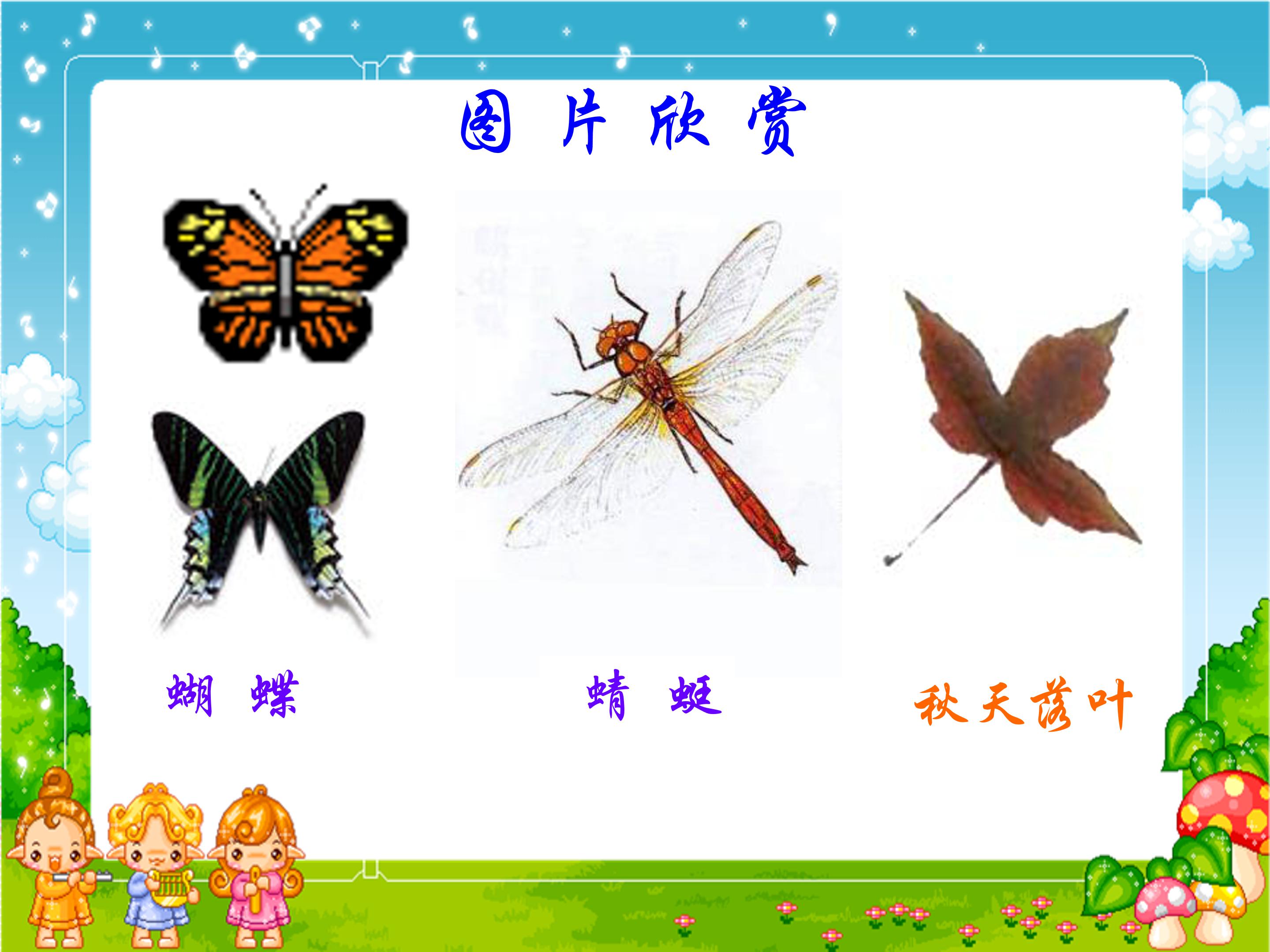 轴对称图形ppt模板