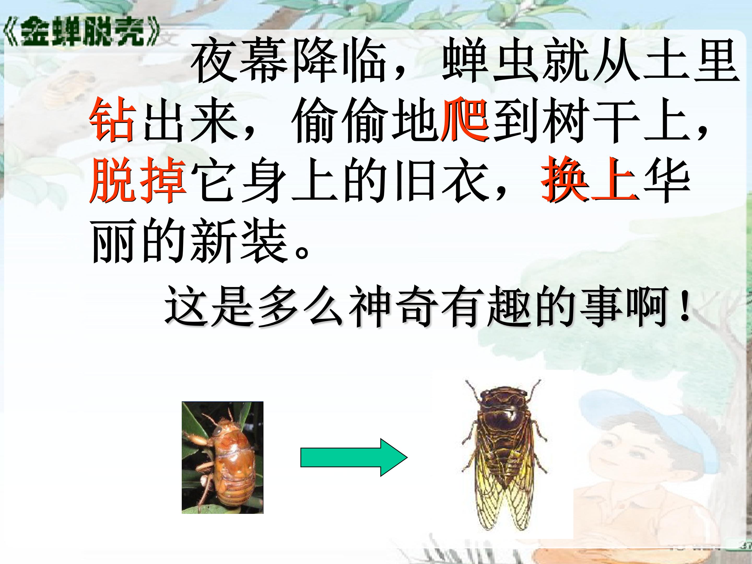 金蝉脱壳ppt模板