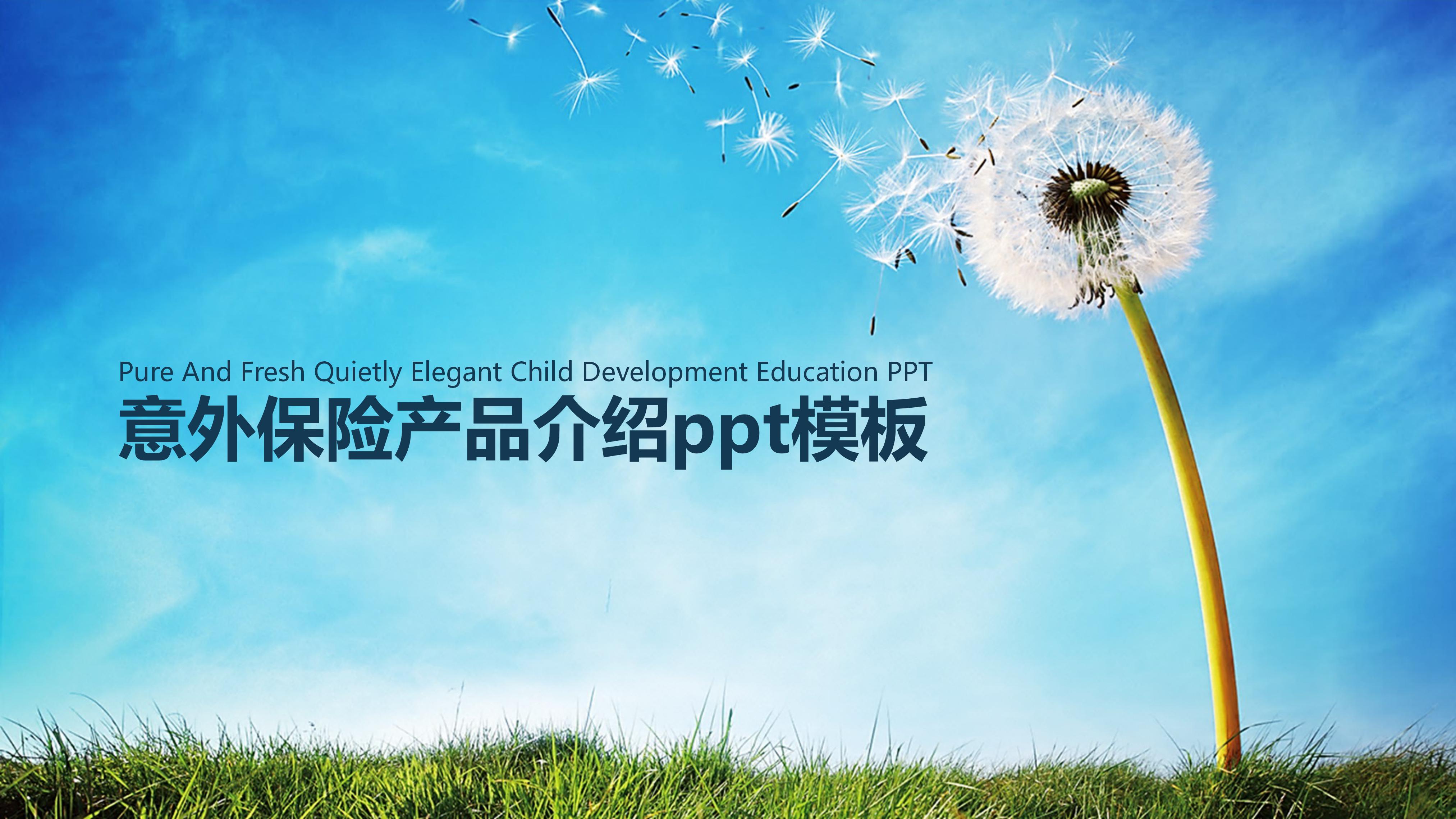 意外保险产品介绍ppt模板