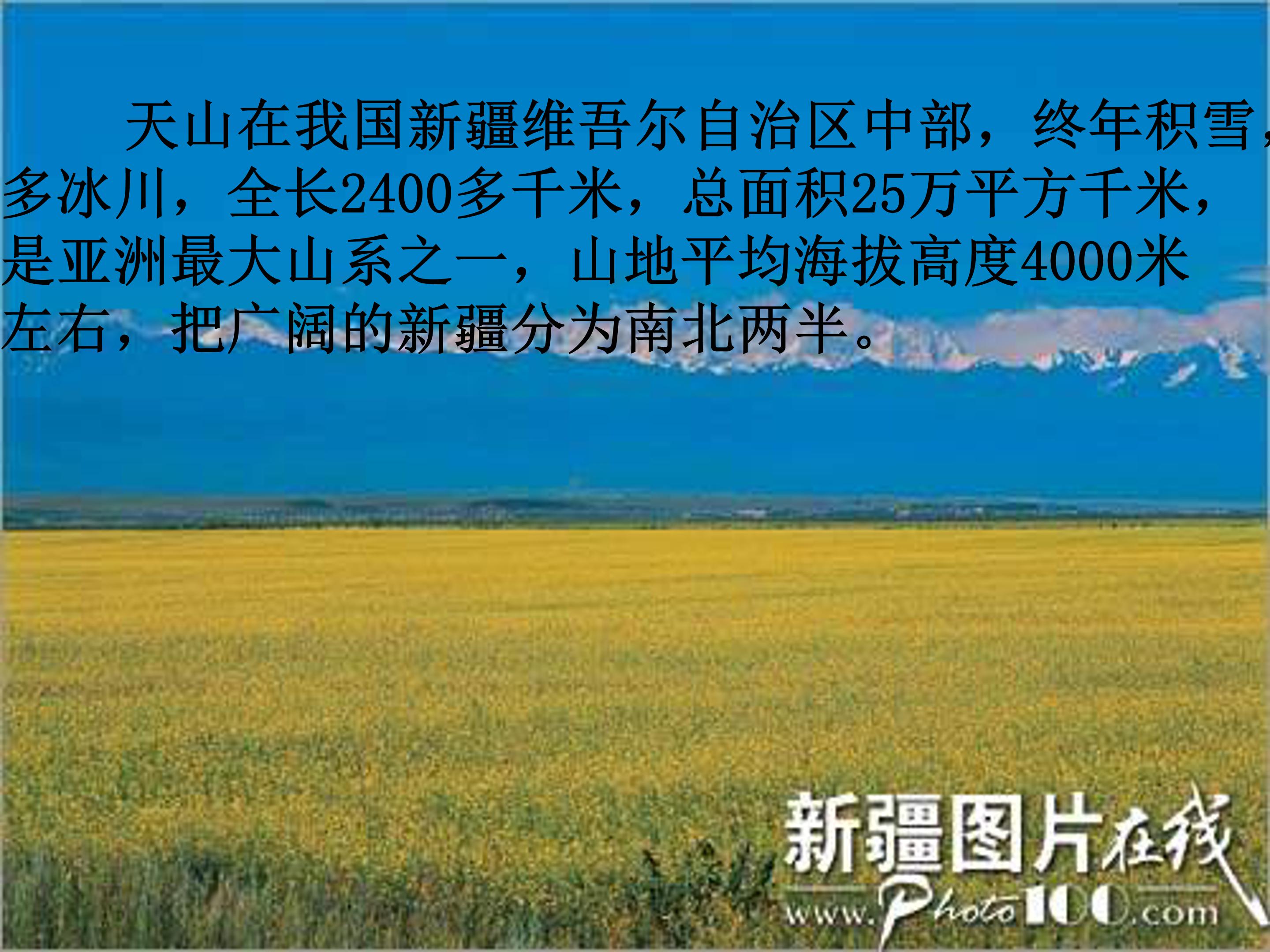 4七月的天山ppt模板