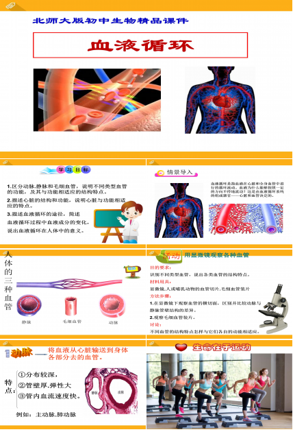 血液循环ppt课件模板