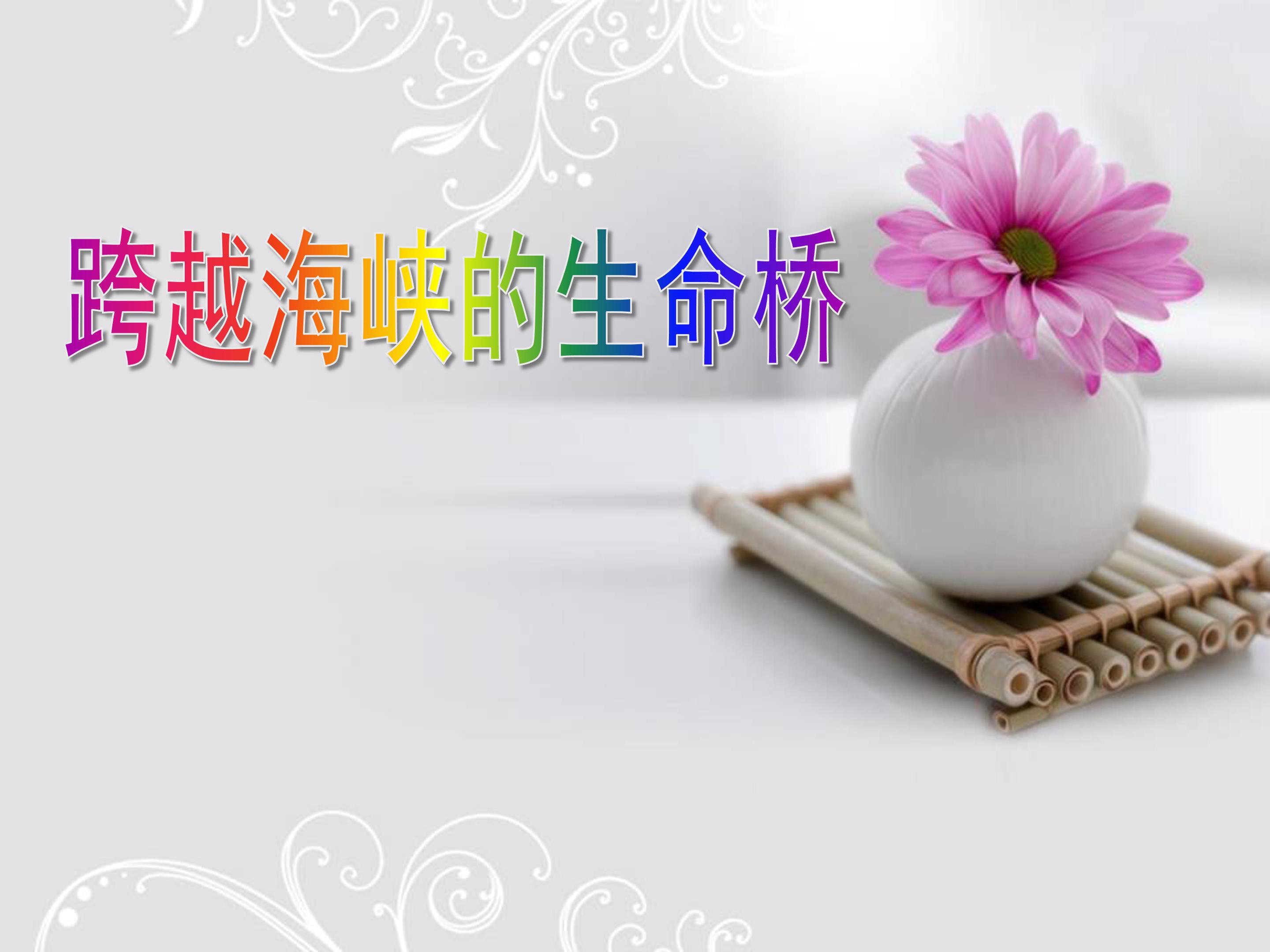 跨越海峡的生命桥ppt模板