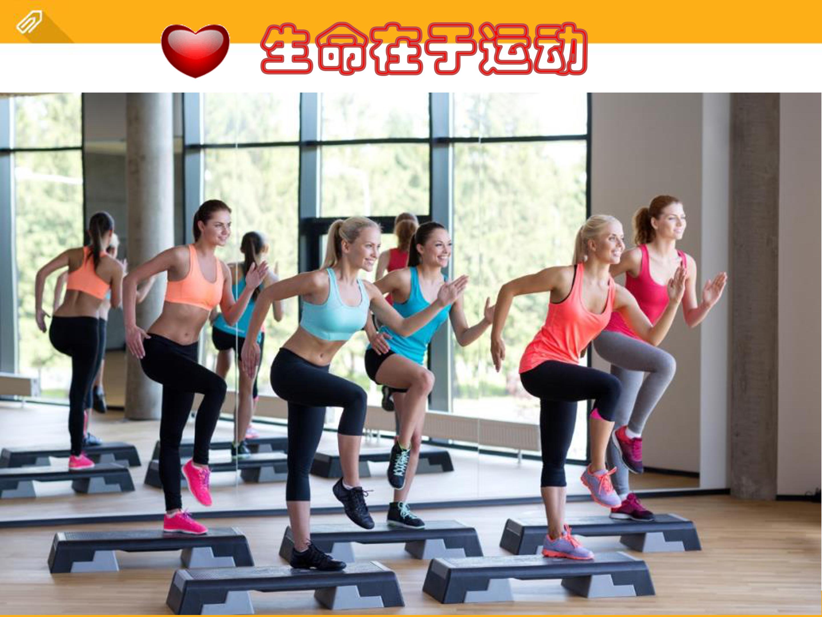 血液循环ppt课件模板