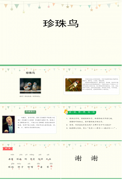 五年级上册珍珠鸟ppt模板