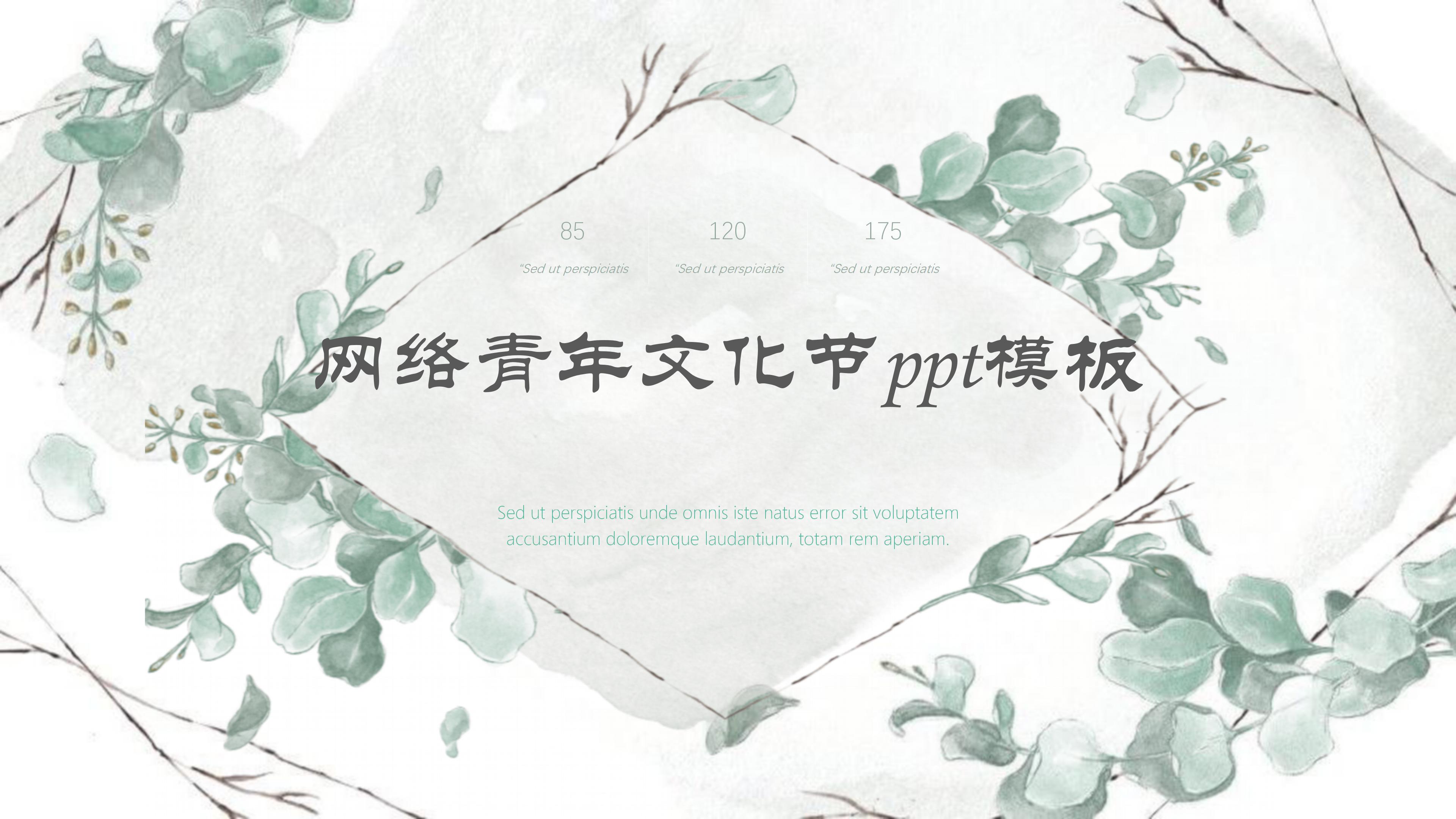 网络青年文化节ppt模板