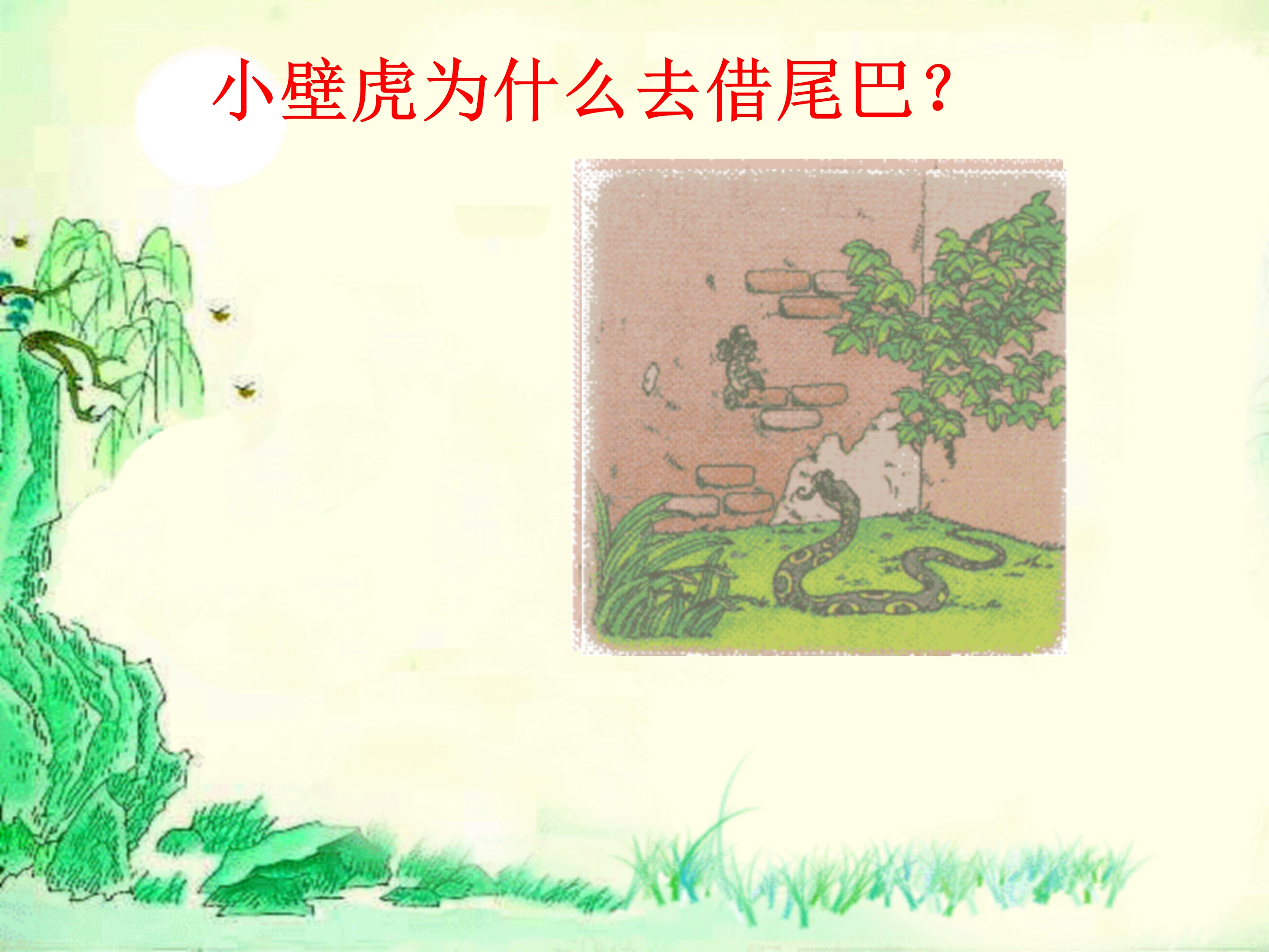 语文课件小壁虎借尾巴PPT模板